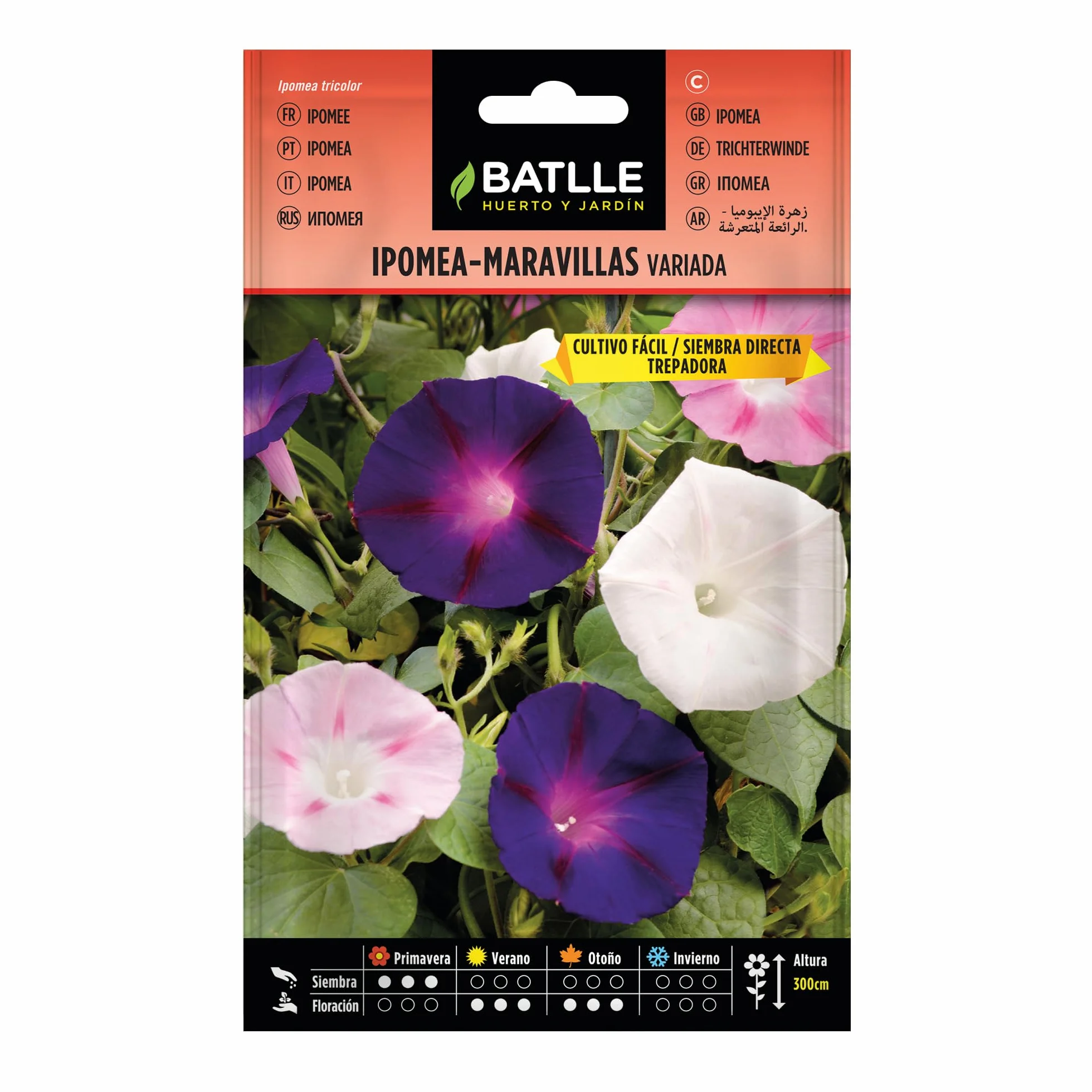 BATLLE Ipomea Maravillas Trepadora – Bolsa de Semillas para Plantar – Flores Anuales Trepadoras para Rejas, Pérgolas, Balcones y Jardín