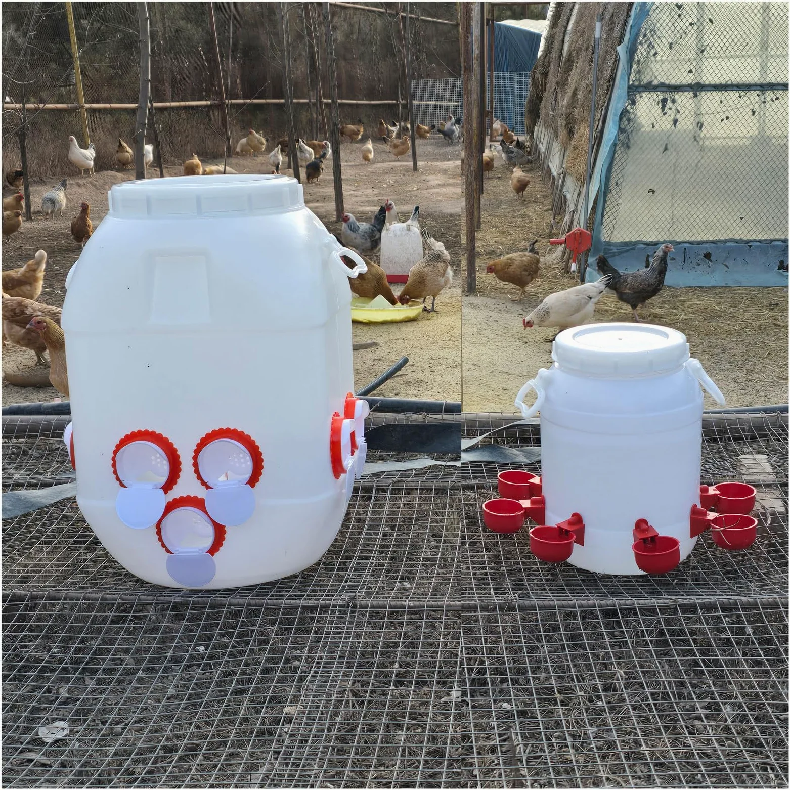 Comederos 50L(40-50KG) y Bebederos 10L Automático para Gallinas, Auto-Fill Dispensador de Agua con 8 Vasos, Comedero con 10 Orificios para Pollitos Aves de Corral(Color:Blanco)