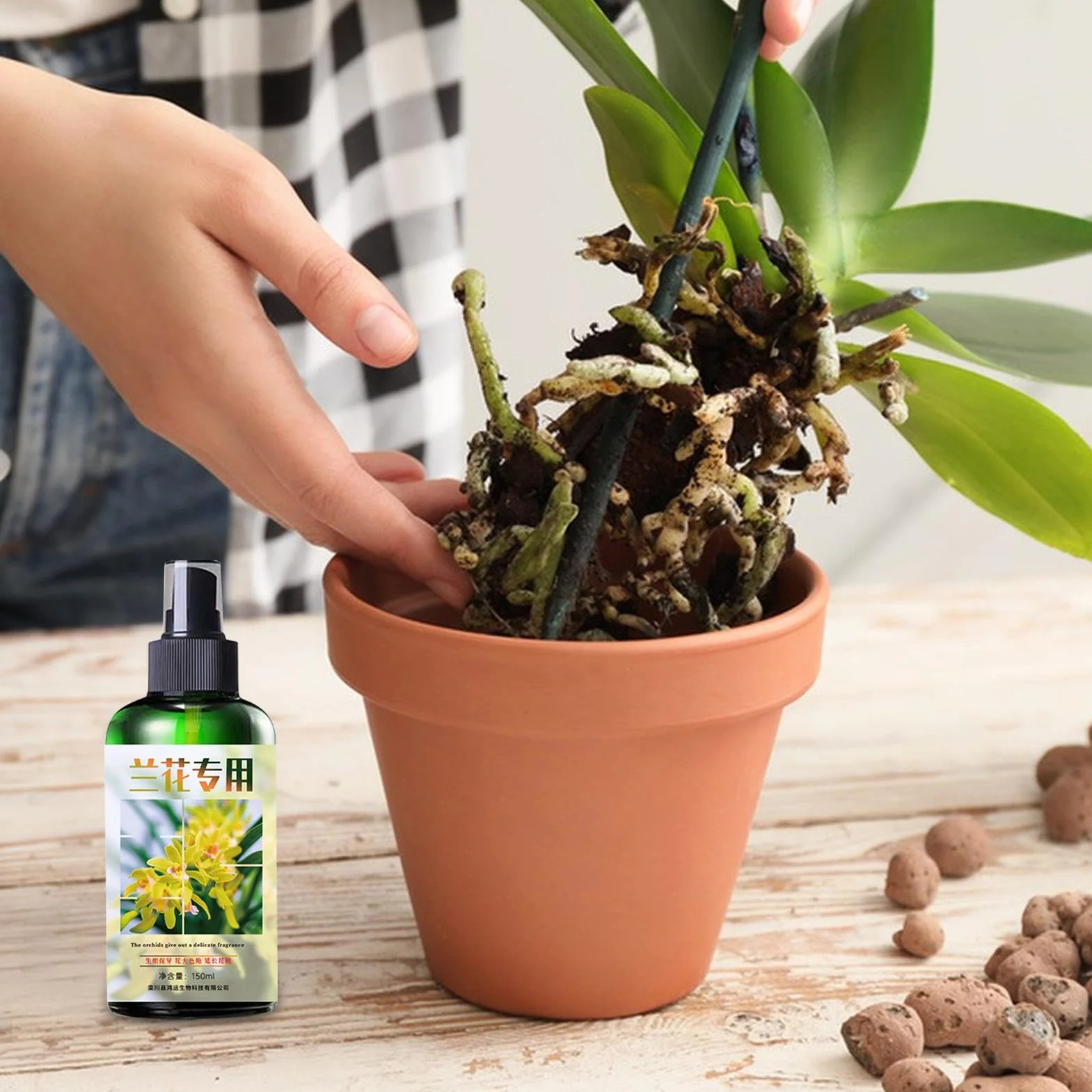 Alimento para plantas de orquídeas | Fertilizante líquido de enraizamiento | Fertilizante líquido para orquídeas | Spray de niebla de orquídeas | Fertilizante natural para orquídeas | Niebla compacta