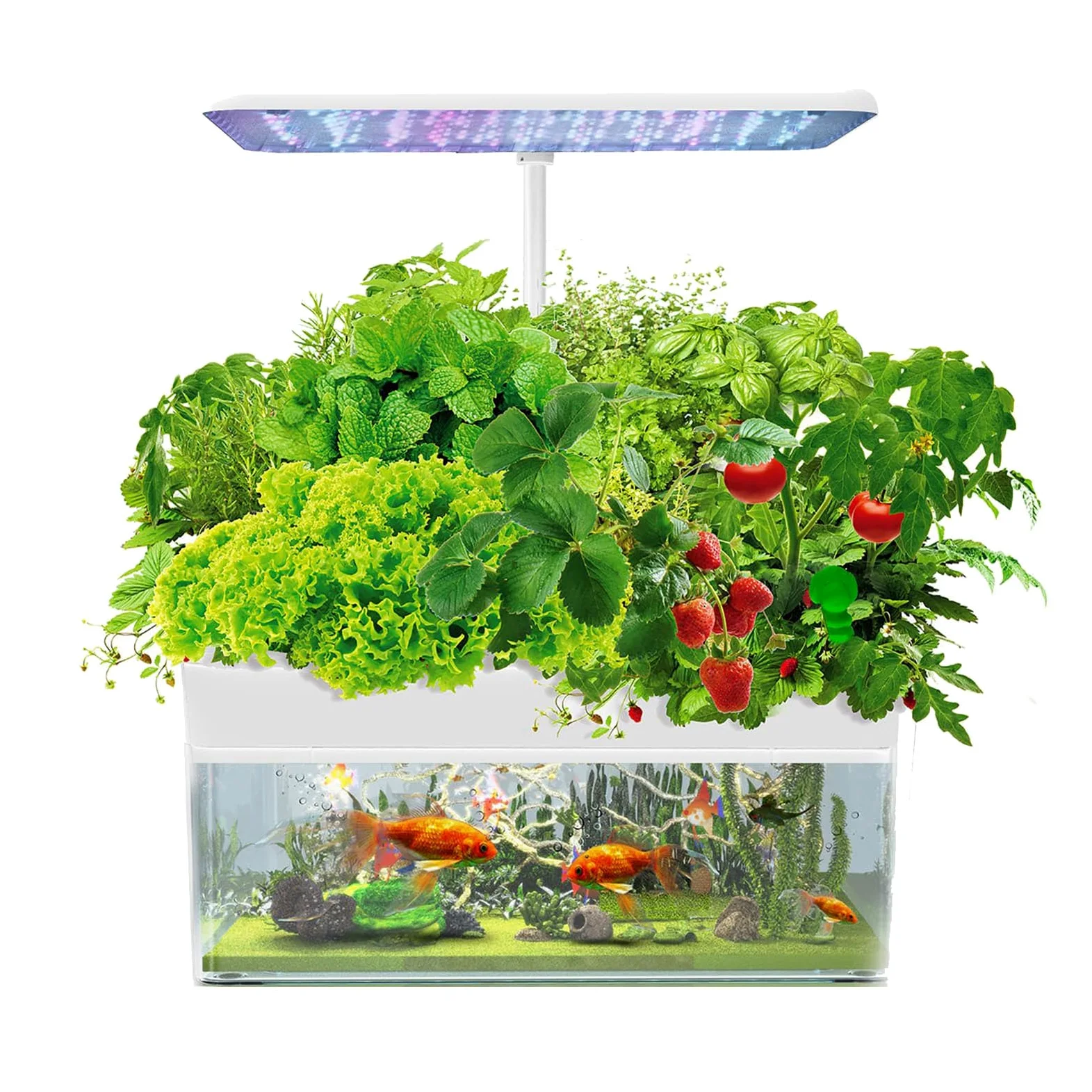 Sistema De Cultivo Hidropónico, Jardín De Hierbas Interior De 12 Vainas con Luz De Cultivo Led, con Pecera Acuapónica, con Temporizador Automático, para Cocina Casera, Altura Ajustable