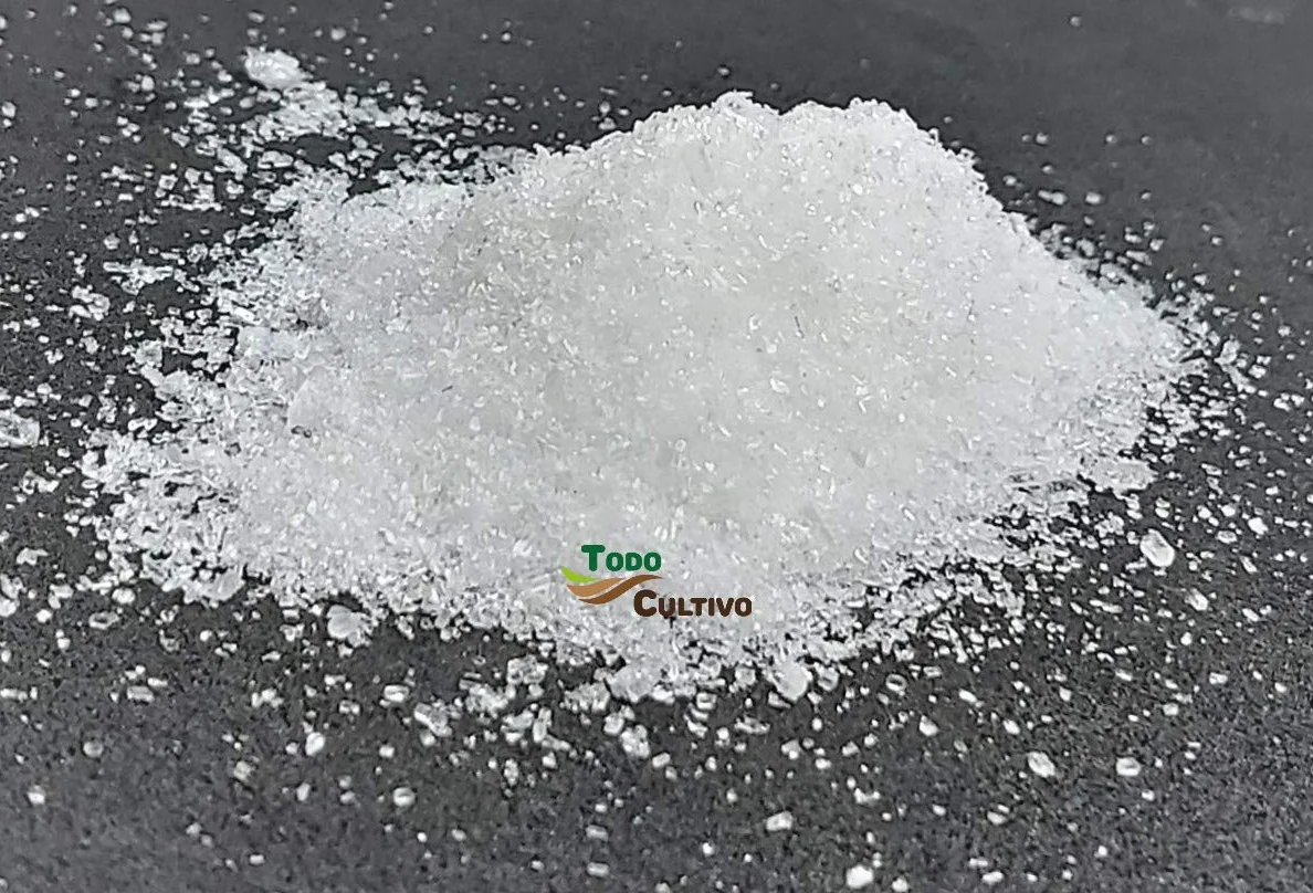 de Magnesio Puro (MG SO₄·7H₂O). Sal de Epsom. 1 Kg. Muy Utilizado en Cultivo de Flores como la Rosa, cítricos, frutales, hortalizas, Ornamentales.