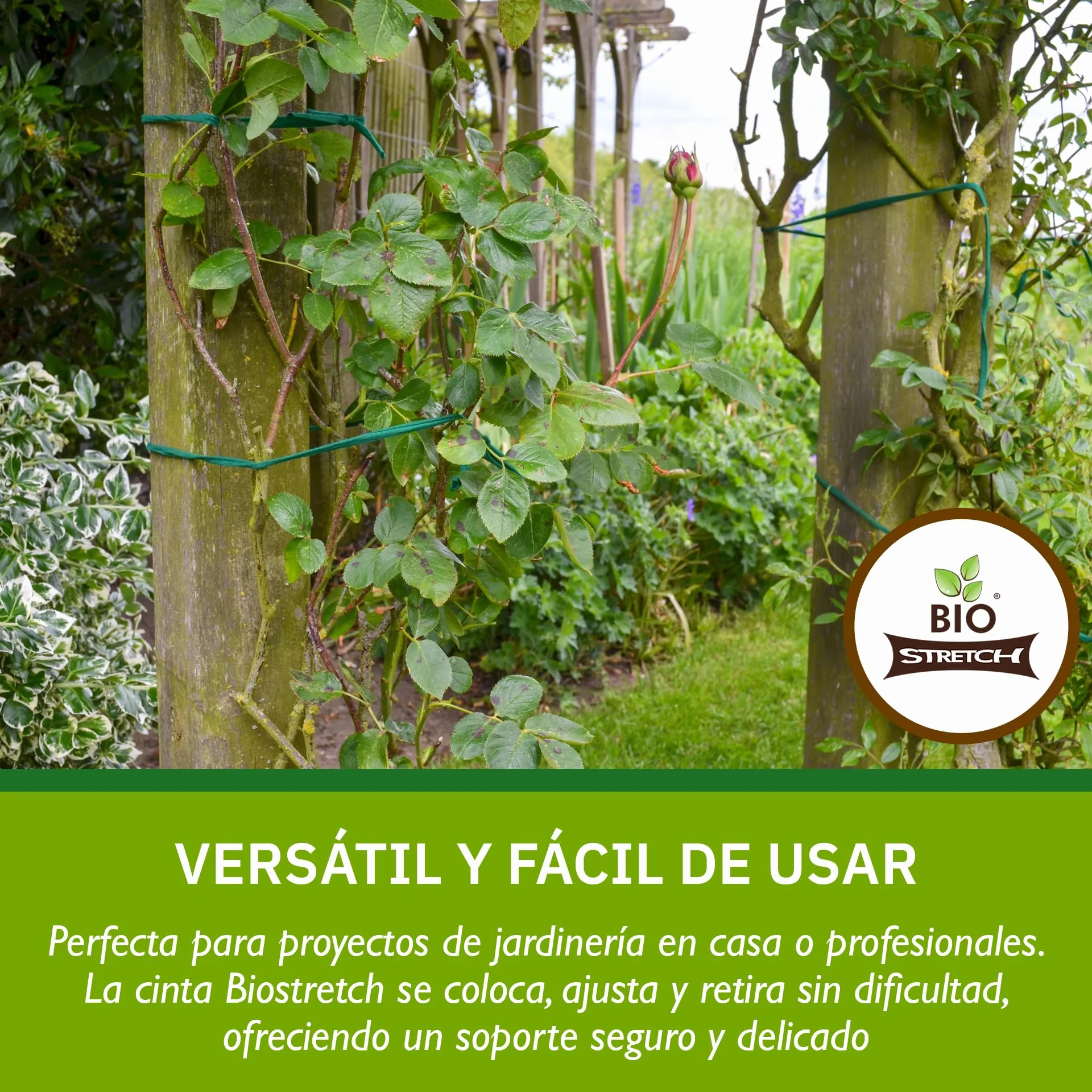 Bio-Stretch Cintas de Jardín Suaves para Plantas de Interior y Exterior – Resistentes y Elásticas, Cortables a Medida, para Plantas Trepadoras, Tomates y Jardinería en Casa (20m / Verde)