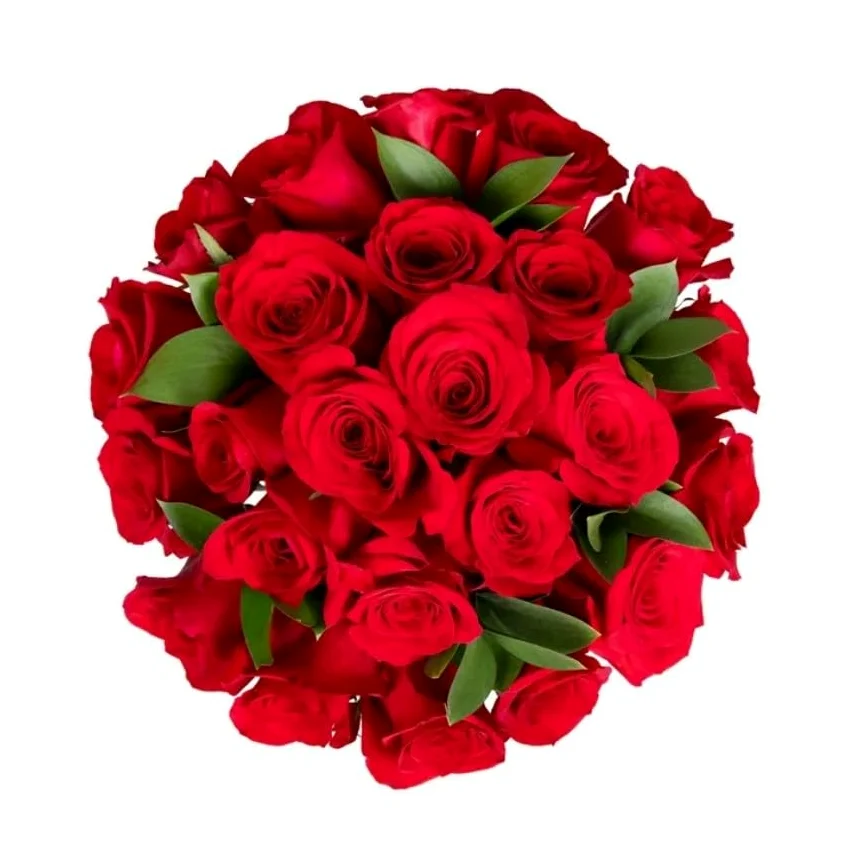 Ramo de ROSAS ROJAS Naturales con 25 Flores en Tonos Vibrantes Rosas Rojas Frescas para Ocasiones Especiales