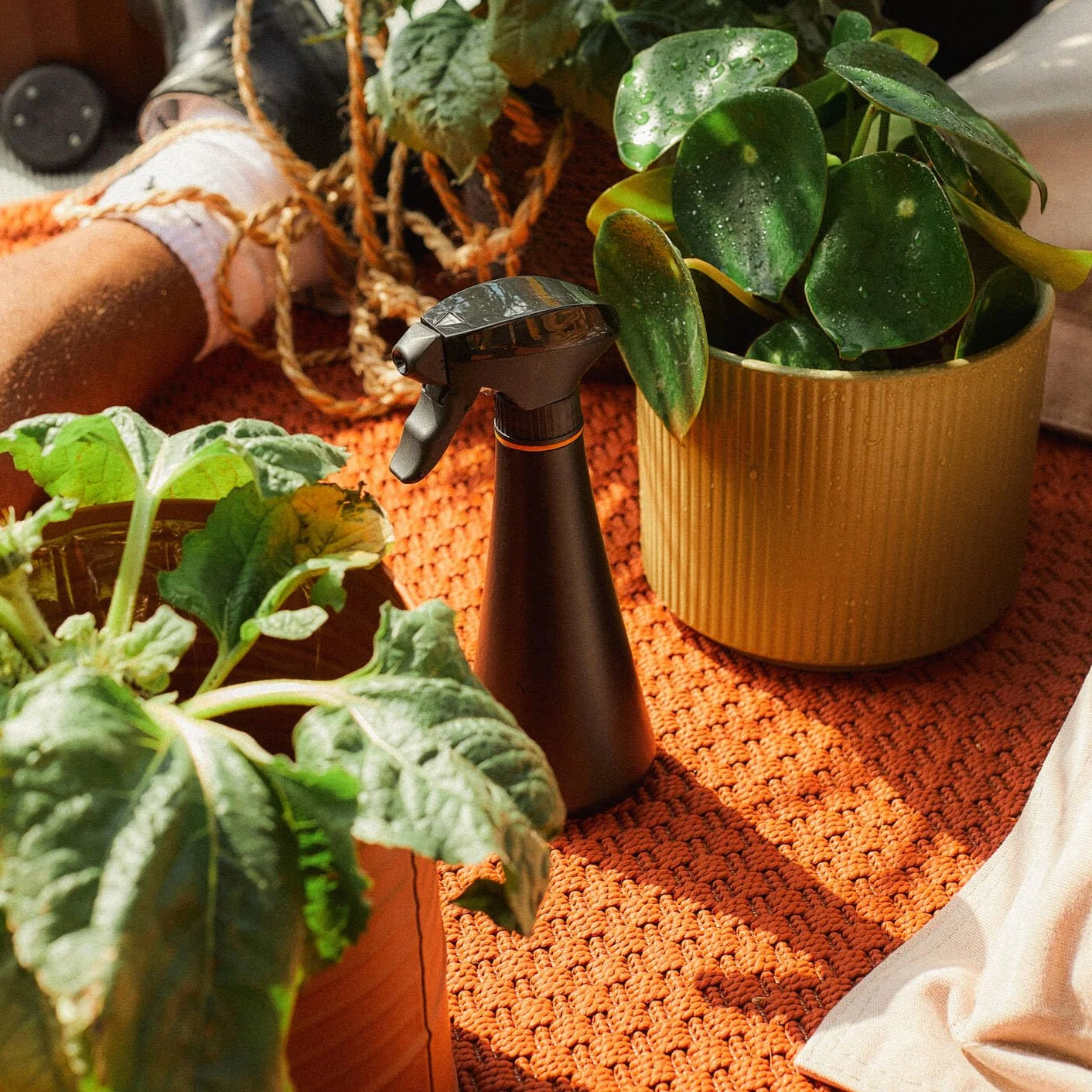 Fiskars Rociador para plantas Botella rociadora de 0,3 litros para regar plantas delicadas y limpiar hojas grandes, Altura: 20,5 cm, Resina, Color: Negro/Naranja, 1071306