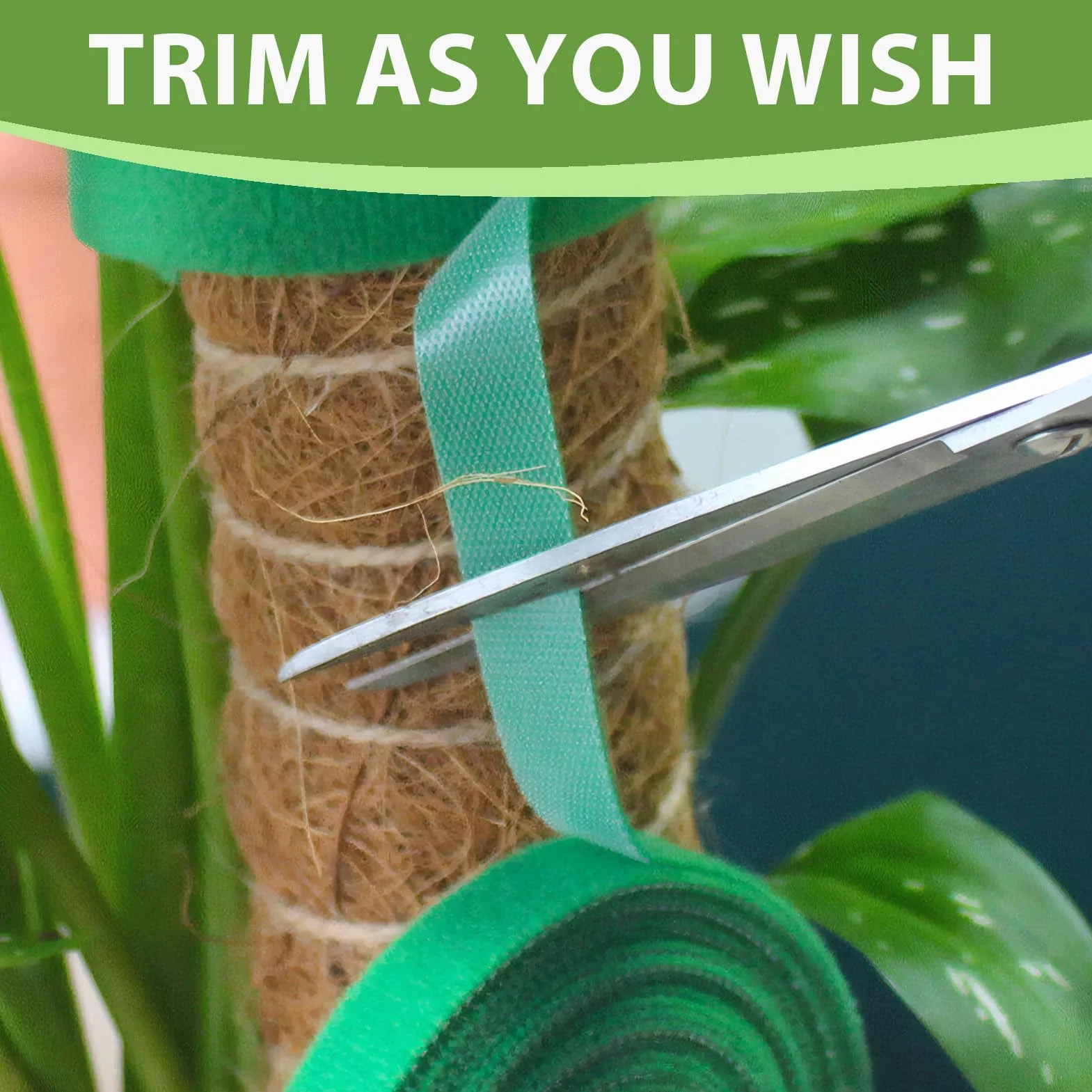 2PCS 15 m 15m Brida para Plantas Cinta,10mm Cinta para Plantas autoadhesiva,Cinta para Plantas de Exterior Reutilizable,Ideal para Fijación Planta Corbatas Cinta,Jardinería Cinta,Frutas y Flores