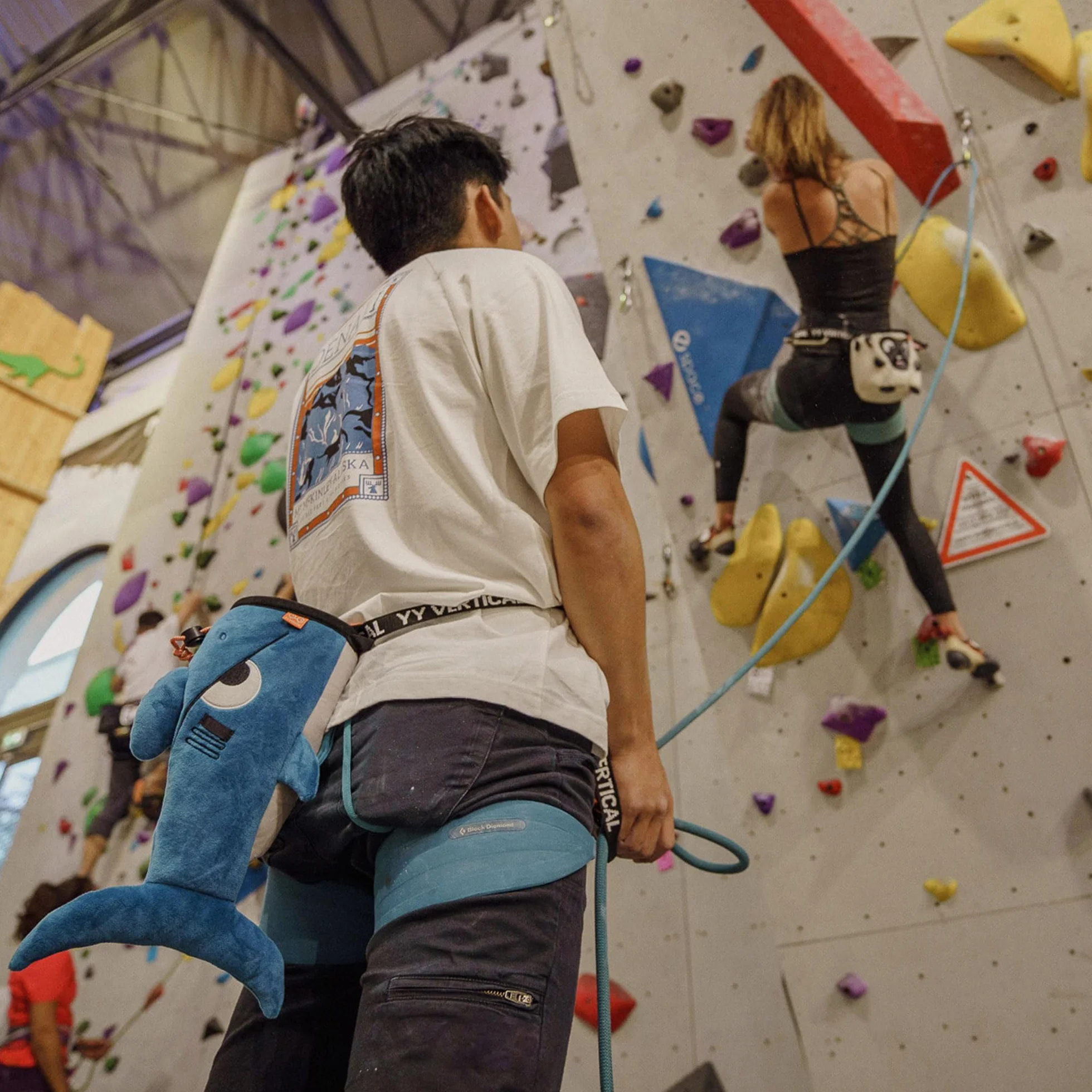 YY Vertical Bolsa de tiza para escalada en roca