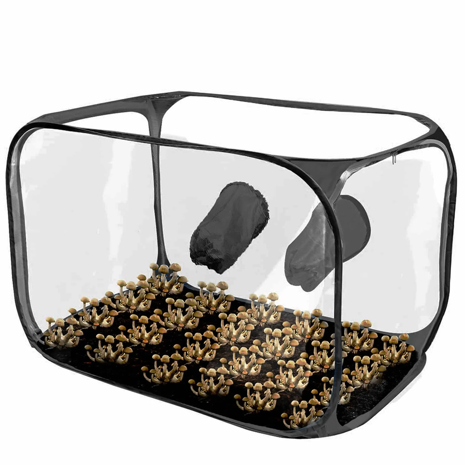 Tienda Cultivo Setas – PVC 76x43x44,5cm | Contenedor Cultivo Seta | Bolsa Cultivos Transparente | Kit Tienda Interior Jardinería DIY Cultivos Setas Hidropónico