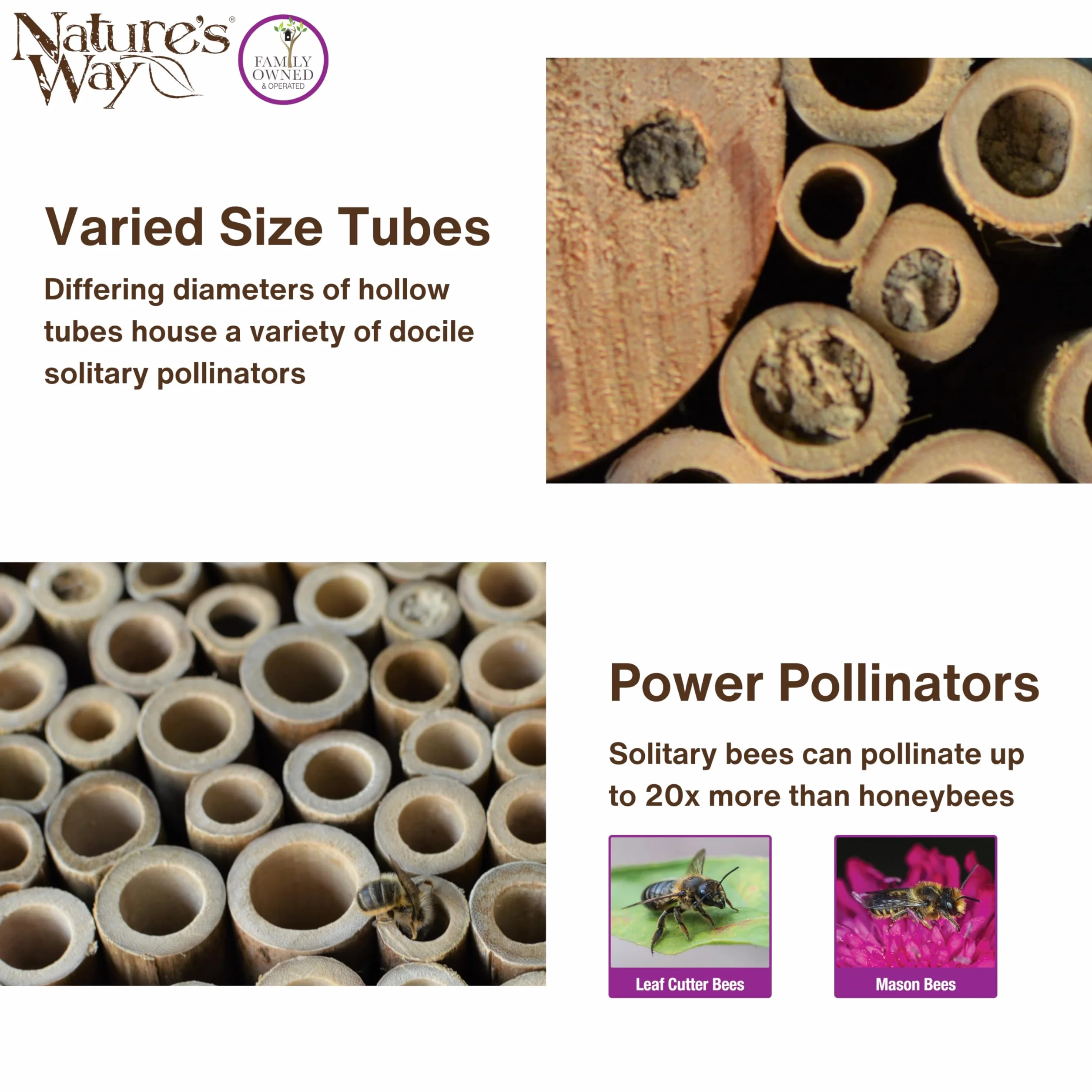 Nature's Way Bird Products PWH1-C Casa de Abejas Verde Azulado
