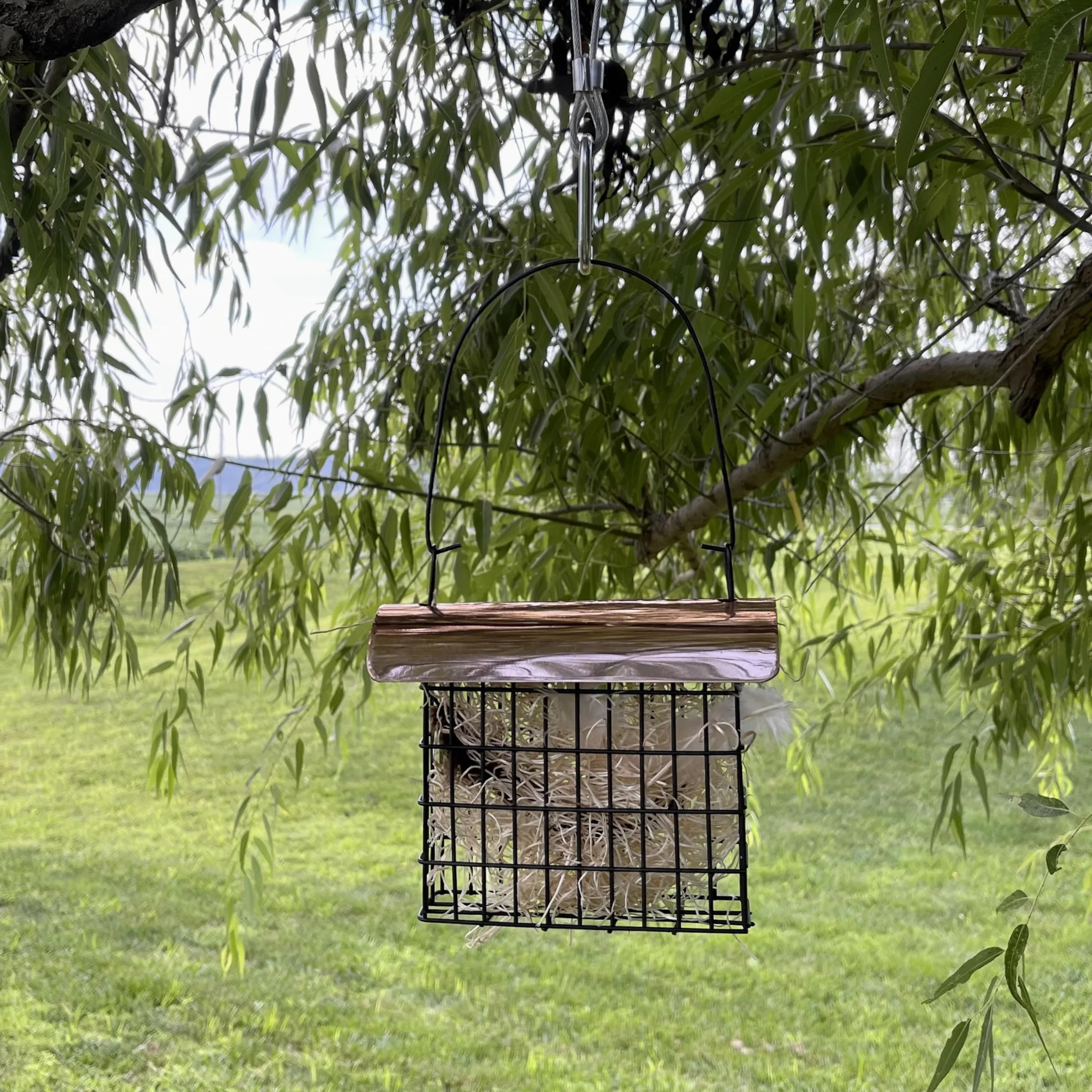 Songbird Essentials Nesting material