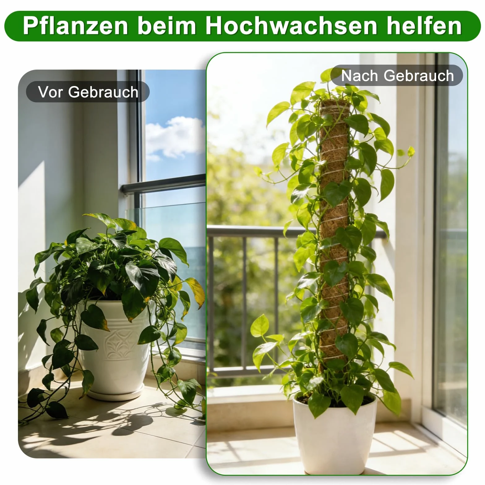 HOVIN Soporte trepador para Monstera de coco – 4 tutores extensibles de musgo, 40 cm – Para plantas trepadoras en interiores y jardines