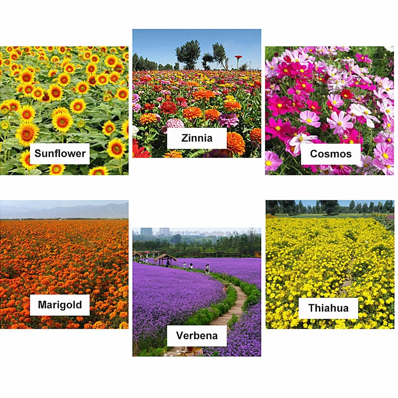 Suelo para estanques acuáticos | Barro natural para estanque de loto con nutrientes | Medios de cultivo de plantas para nenúfares, lotos y suministros de jardinería