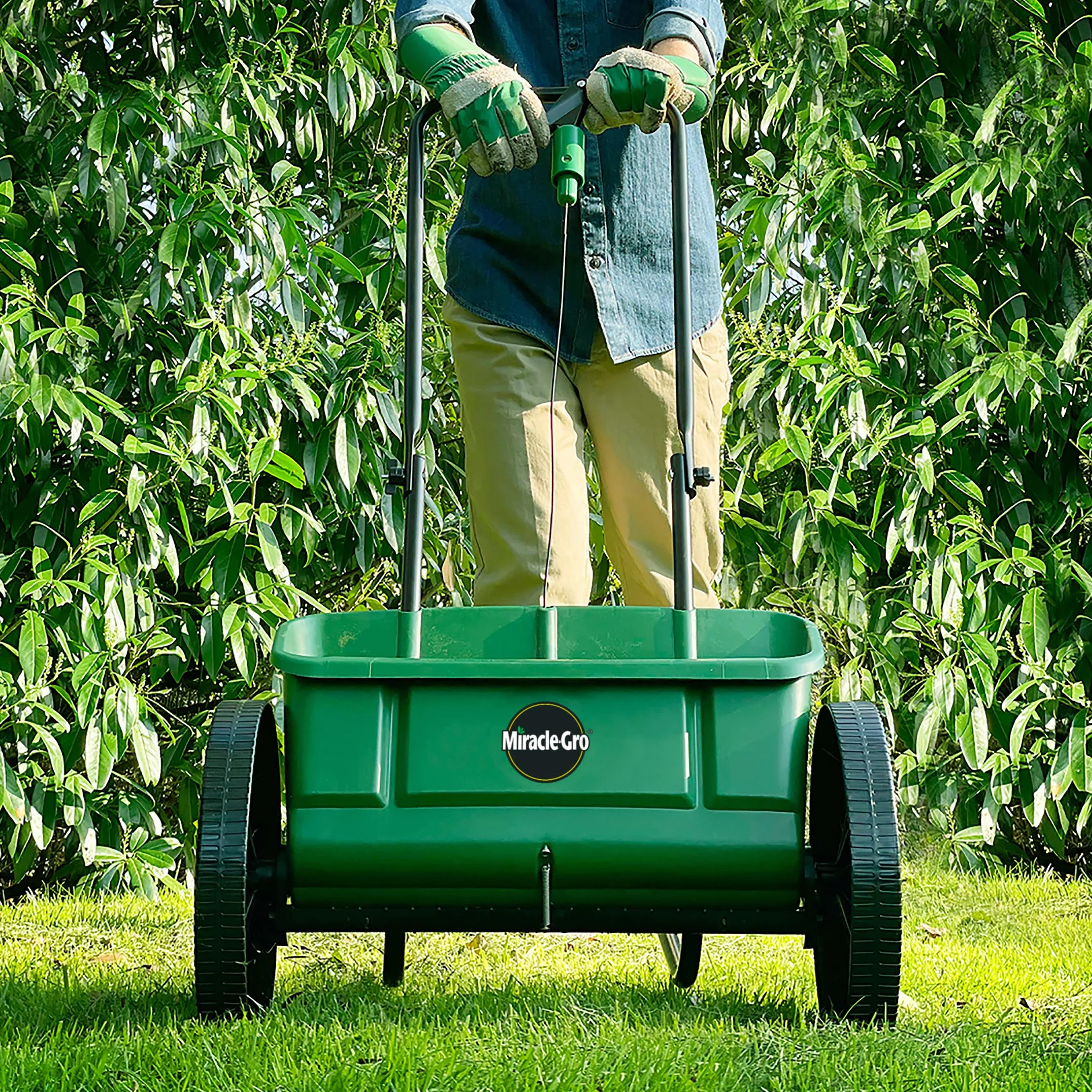 Miracle-Gro Esparcidor de semillas de césped