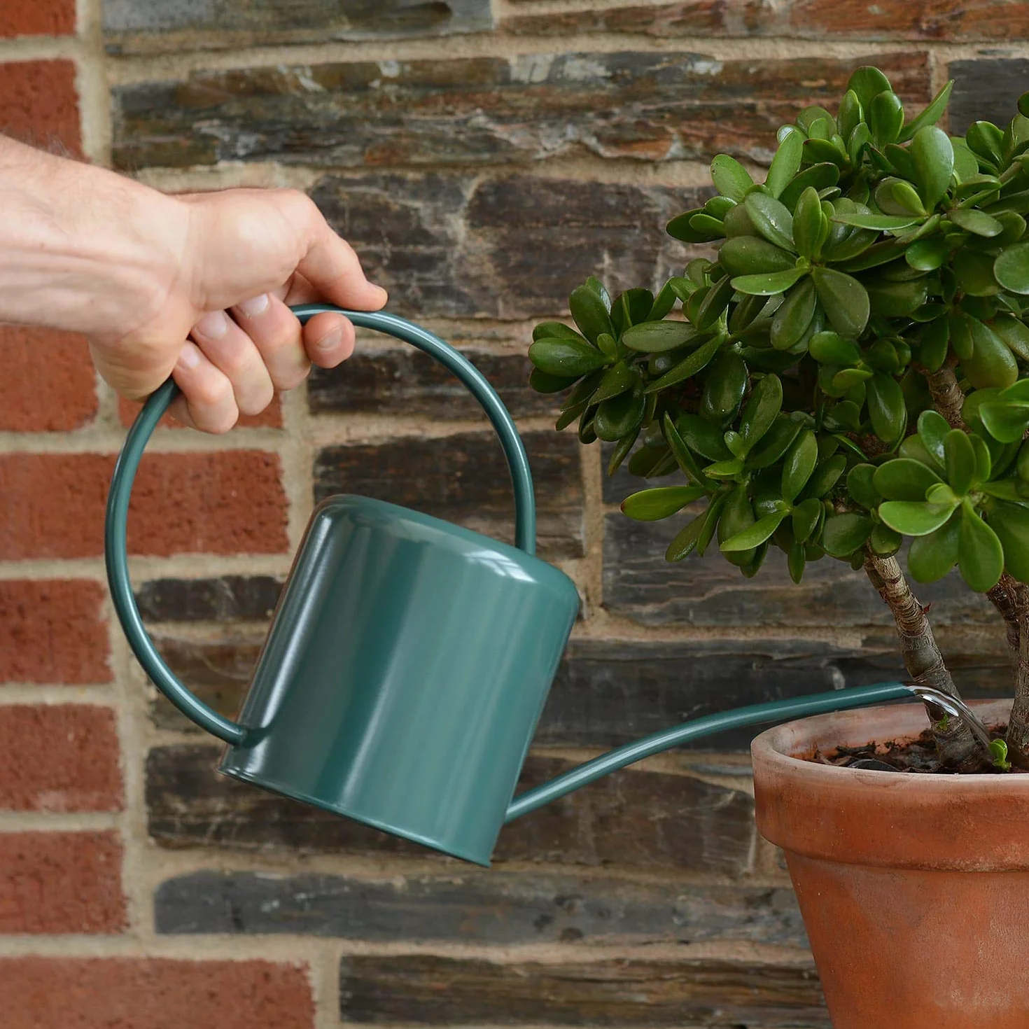 CKB LTD® - Regadera Interior de Acero galvanizado con Recubrimiento en Polvo para Plantas de Interior, diseño contemporáneo de Metal con Pico Estrecho y Mango Alto, 1,4 L Verde Oscuro