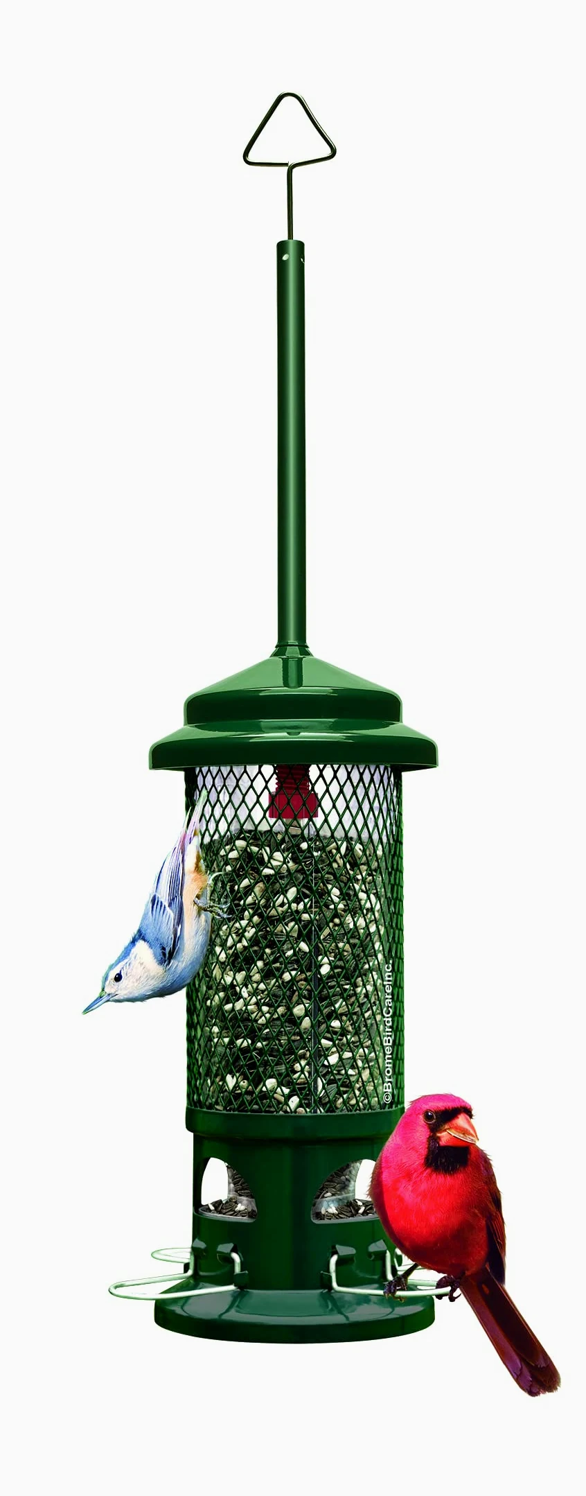 Squirrel Buster Comedero estándar para pájaros a Prueba de Ardillas con 4 Perchas de Metal, Capacidad de Semillas de 1.3 Libras