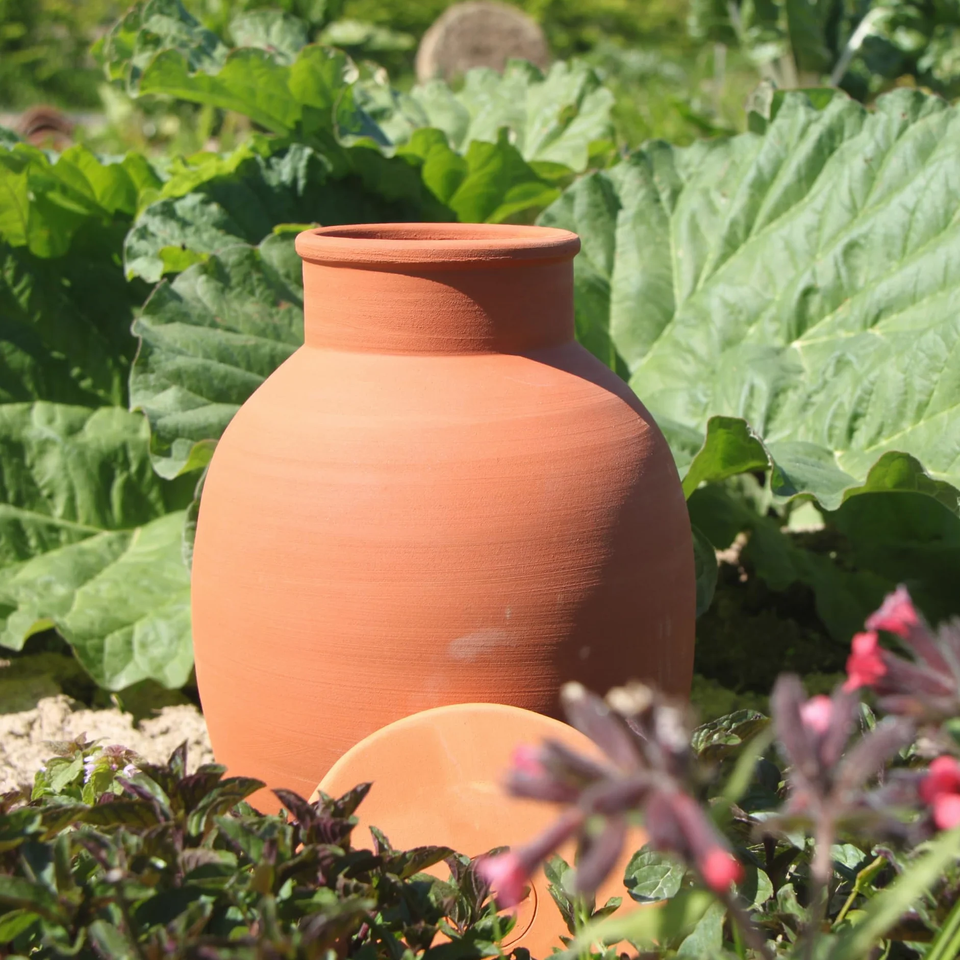 Ollas Lutton Olla Terracota para Enterrar 5L | Riego Automático y Ecológico para Plantas de Exterior | Sistema de Riego Natural | OYA Terracota | Autonomía 7 Días