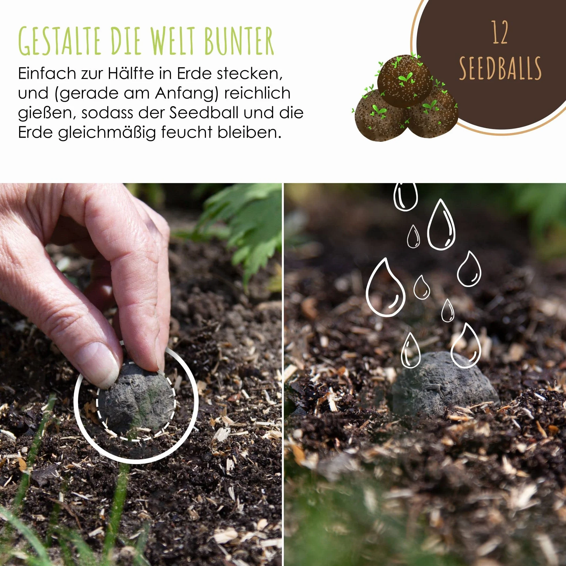 12x Bombas de semillas para un colorido pasto de abejas - Semillas de flores silvestres coloridas y ricas en néctar para abejas y mariposas