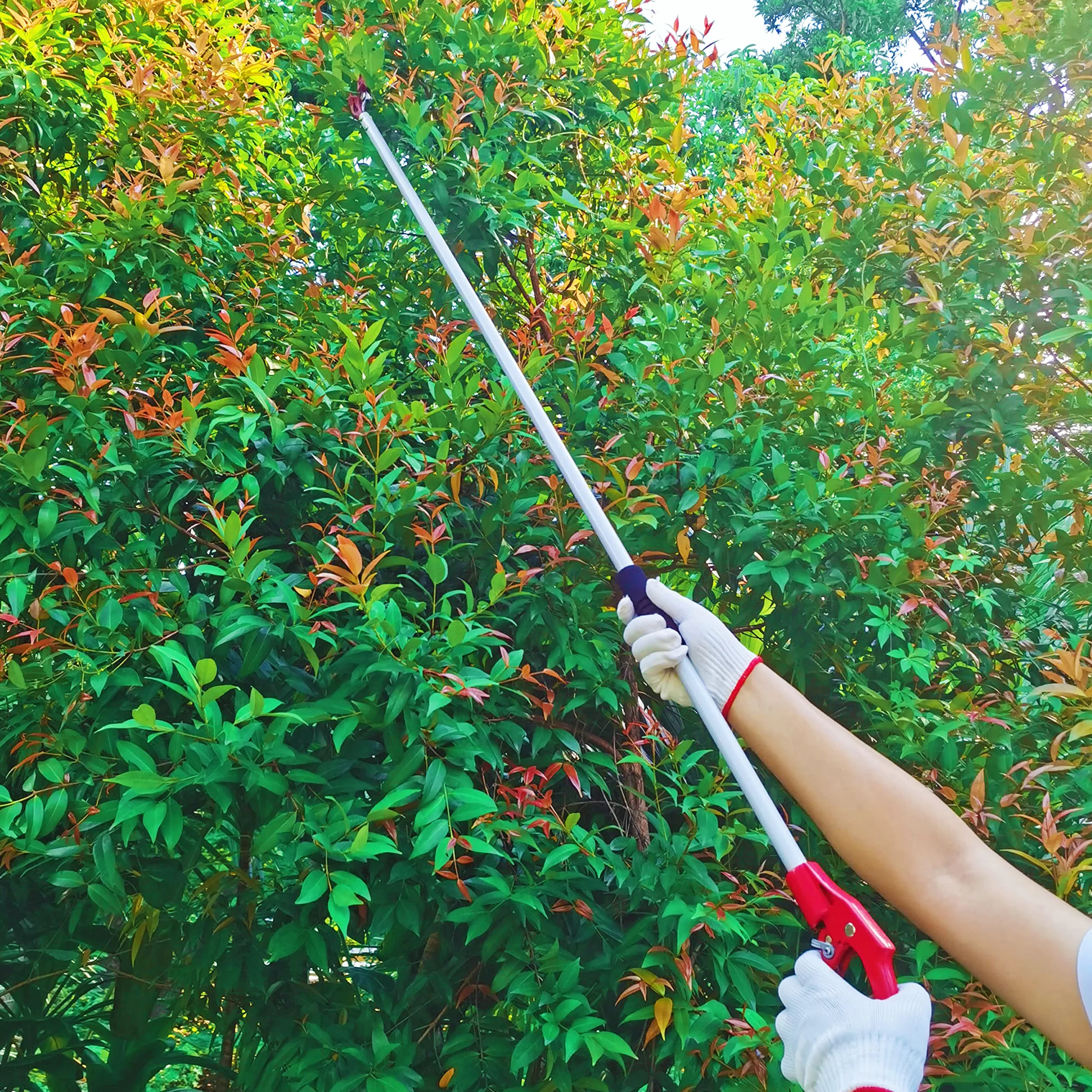 Tree Trimmer, 4 Foot Pole Pruner, Long Reach Pruning Shears, Cut and Hold Garden Clippers, Aluminum Lightweight Handle Fruit Picker, Branch Bypass Loppers