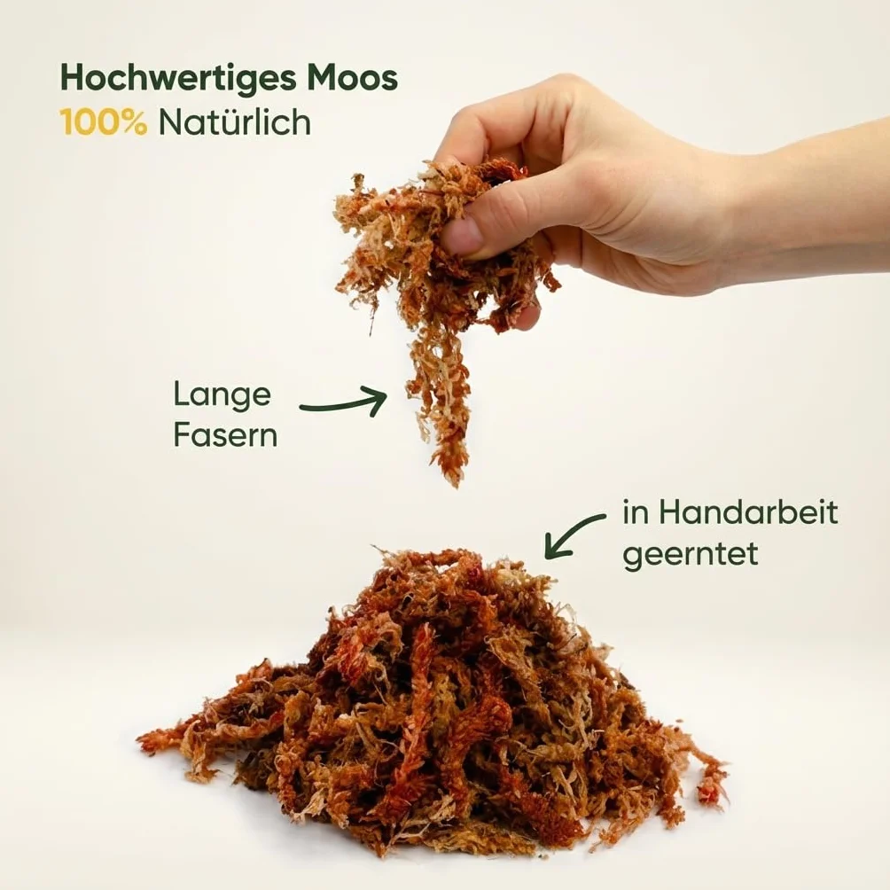 Sphagnum - Musgo para plantas de interior y enredaderas (1000 g)