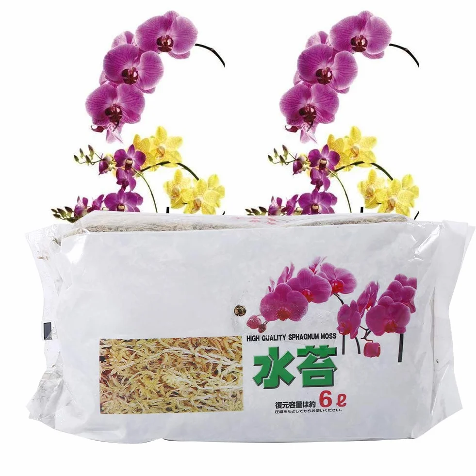 Tbest 6L Garden Sphagnum Moss Hidratante Nutrición Fertilizante Orgánico para Phalaenopsis Orchid Neuseeland Sphagnum Moos, Musgo para Hacer Coronas, Musgo Sphagnum para Coronas, Musgo