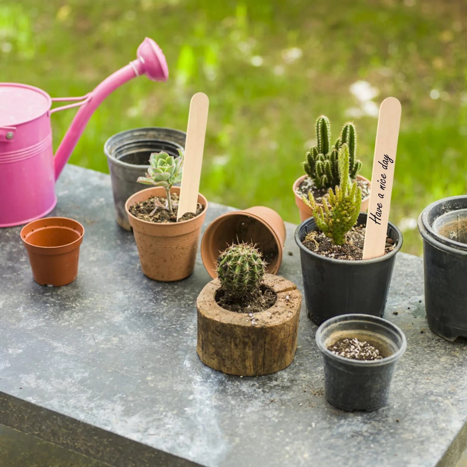 KINGLAKE 100 etiqueta de planta de madera 15x1,6 cm etiqueta de jardín natural palo de madera para manualidades hecho en casa