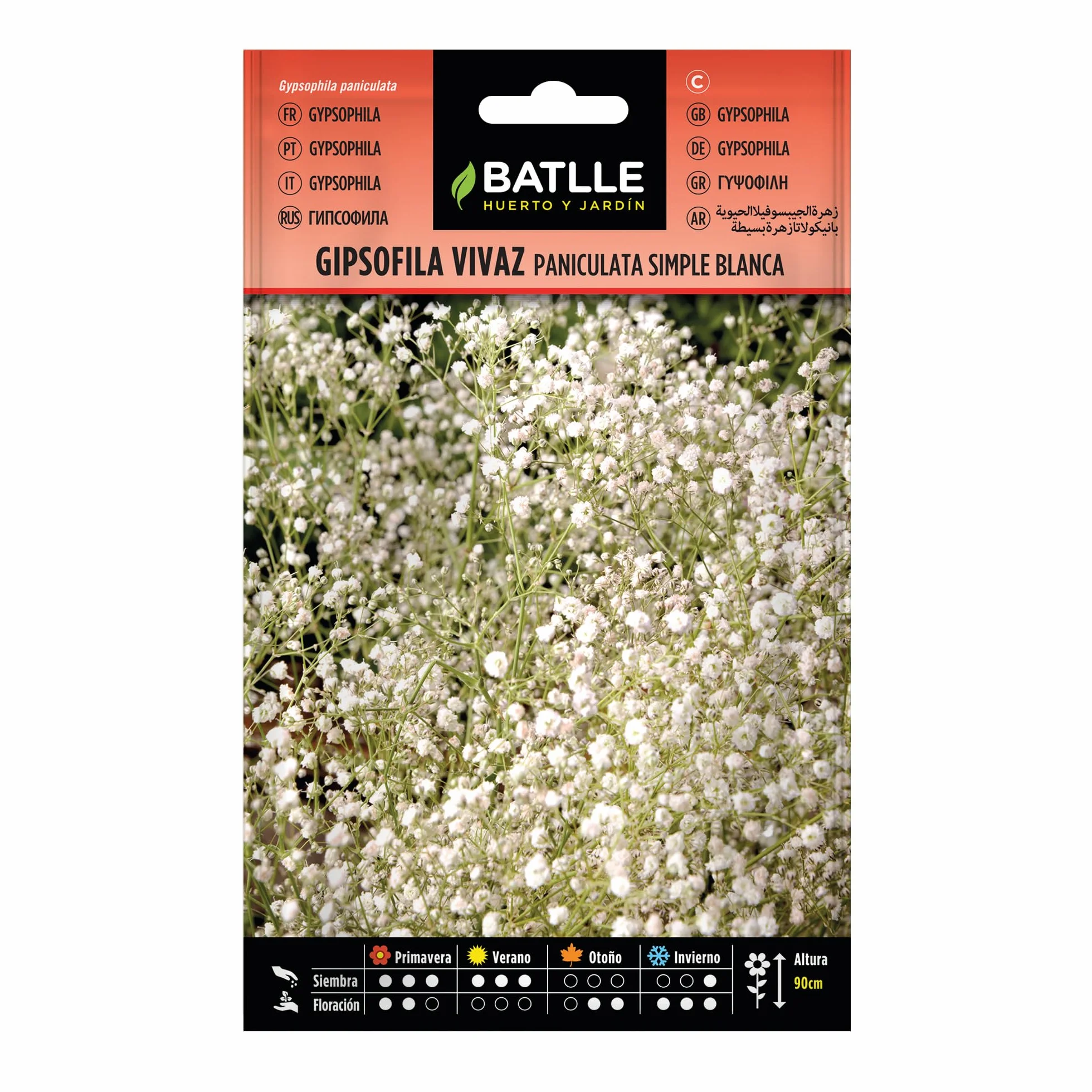 Semillas Batlle Gipsofila vivaz PANICULATA fl.Simple