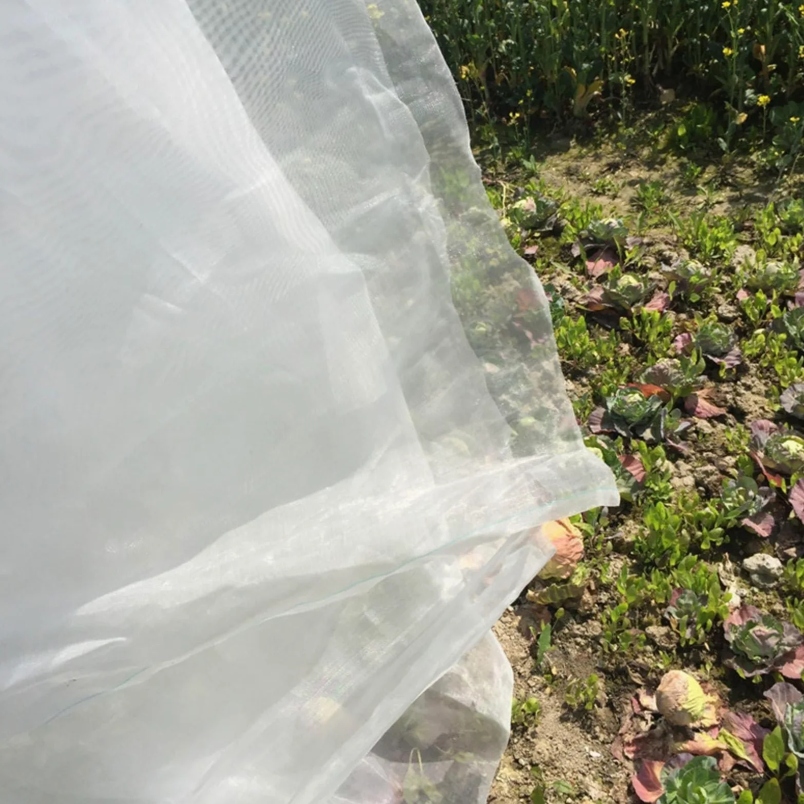 Red de jardín antigranizo resistente a los rayos UV, 4 x 10 m, color blanco, protección de malla ligera para plantas, barrera resistente a los rayos UV, resistente a la intemperie