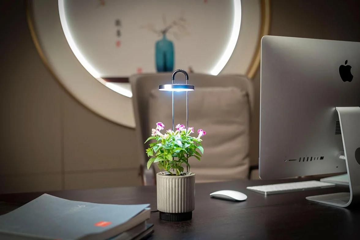 Mini Huerto Inteligente con Cápsulas de Petunia Click & Grow, Hydrovase Smart Garden, Kit de Cultivo Interior con Luz de Crecimiento LED y Autorriego