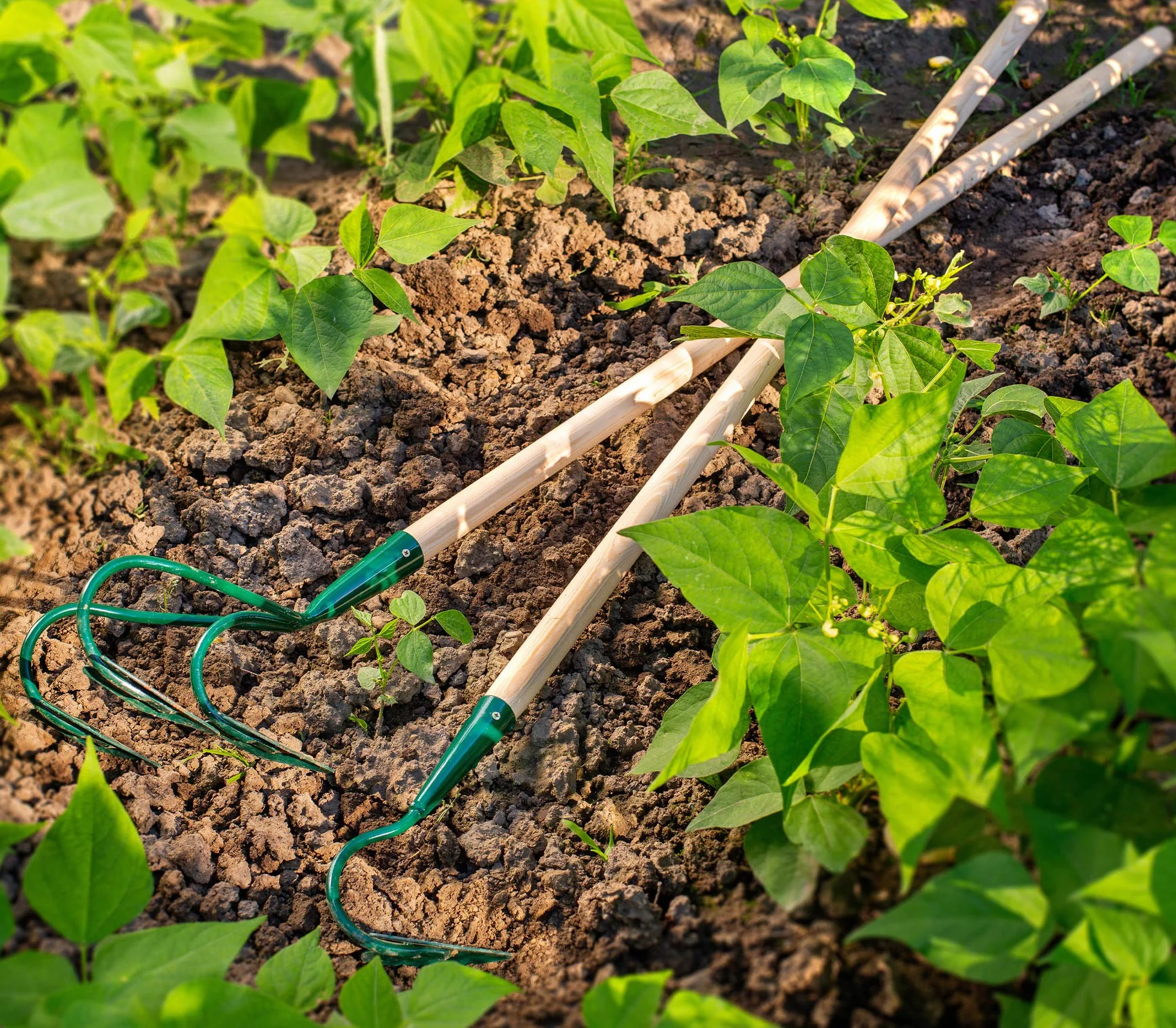 KADAX cultivador, Garra de jardín, azada de jardín para aflojar la Tierra, cultivador para el jardín, cultivador Manual de Metal, Garra de Flores, Accesorios de jardín, rastrillo de Flores