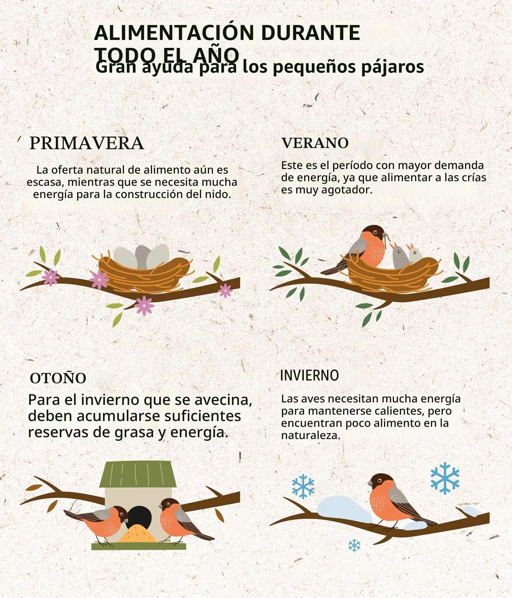 Dehner Natura Premium Bola de Masa sin Red, alimento para Aves Silvestres Durante Todo el año, Rico en proteínas y energético, alimento para Aves Silvestres, 30 Unidades de 90 g (2,7 kg), cartón de