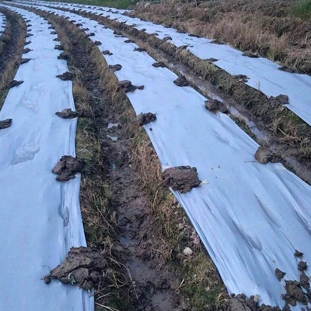 Película de plástico negro plateado para huerto, árboles frutales, invernaderos, invernaderos, control de malezas, 50 m, color negro