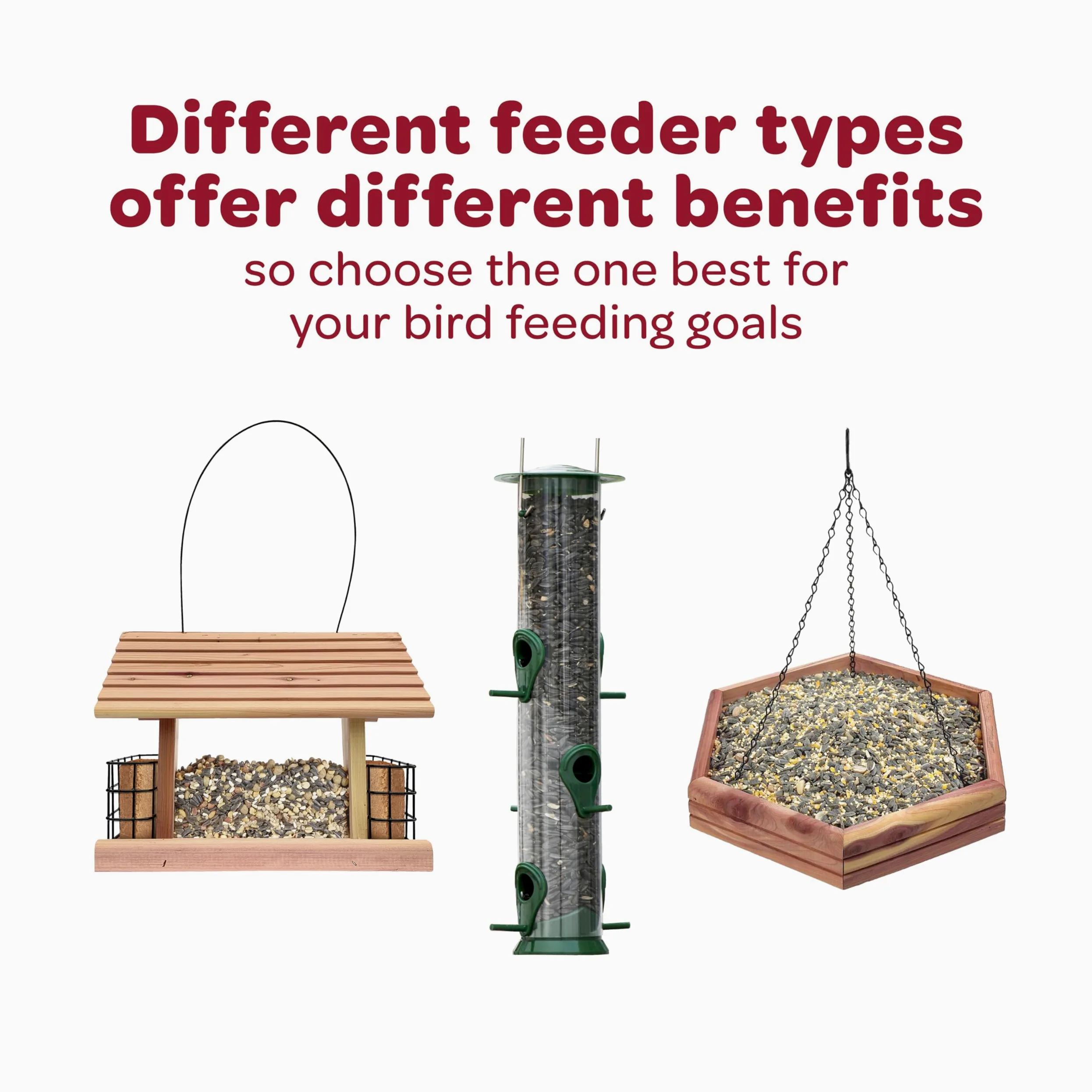 Kaytee sur regional mezcla Wild Bird Food