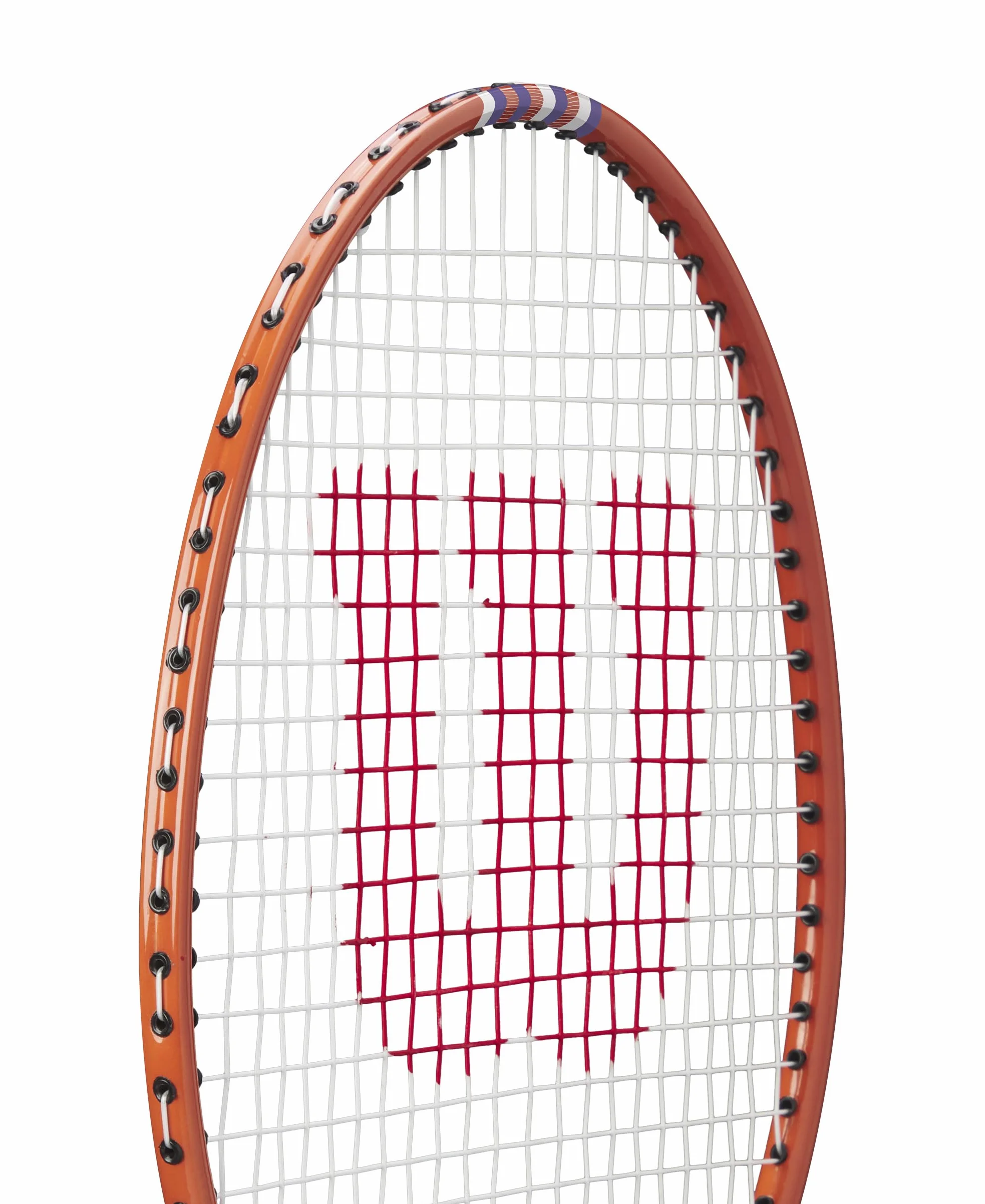 Wilson Tour 30 raqueta de bádminton