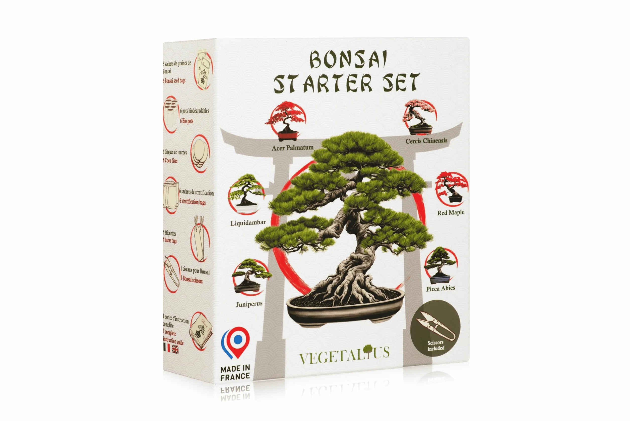 Kit completo de 6 Bonsai con semillas y accesorios - Fabricado en Francia - Idea original de regalo para mujer y hombre para tu interior o jardín. Ideal para Navidad o Secret Santa