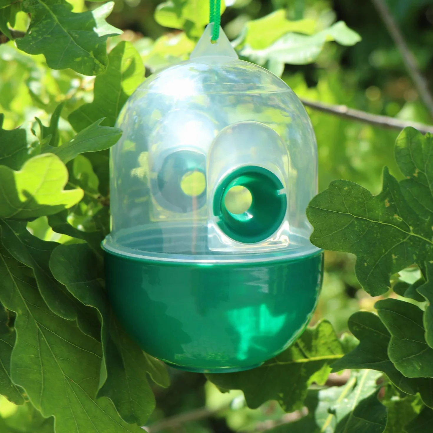 COM-FOUR® Trampa para Insectos 4X - Trampa Viva para Colgar - Protección contra Insectos para Exteriores respetuosa con los Animales - Atrapa Insectos de plástico (04 Piezas - Transparente 12cm)