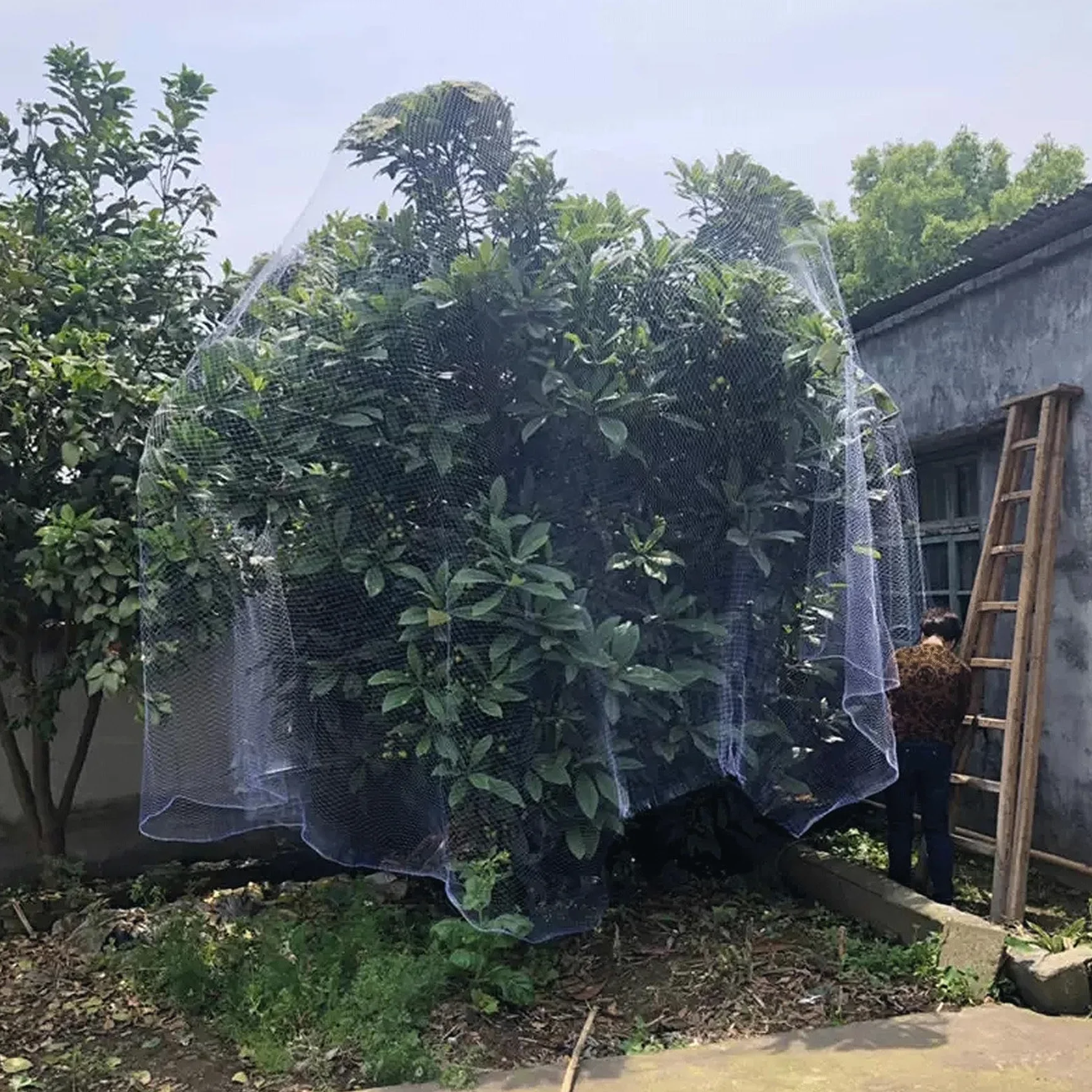 Malla Antipajaros, Red para Pájaros y Palomas de Jardín, Red de Protección contra Pájaros Multiusos, Redes de Protección para Arboles Frutales Plantas Verduras(Size:7m x 30m)