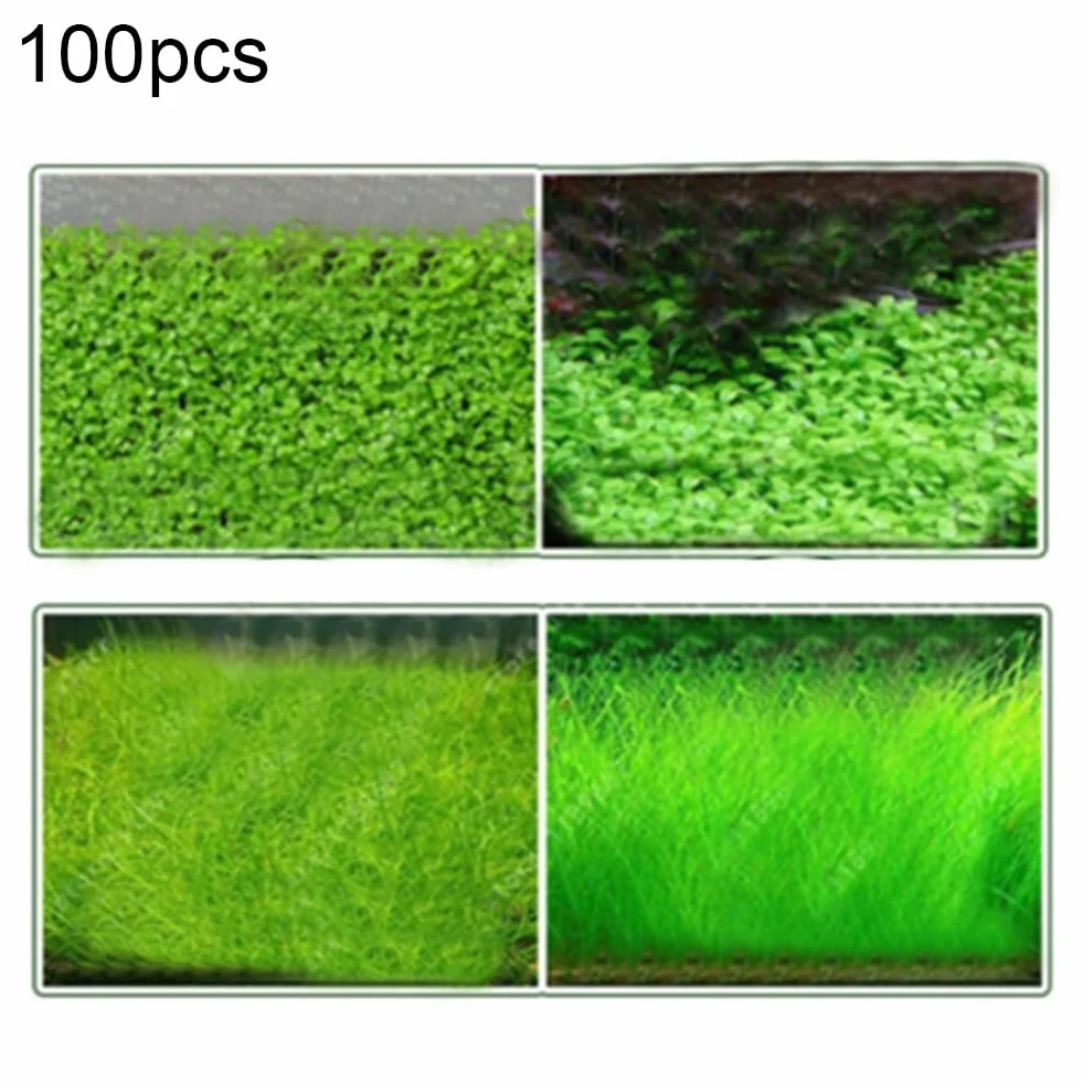 100 Unids Acuario Agua Hierba Semillas Pecera Hidrófila Planta Paisaje Decoración Flor Fruta Árbol Vegetal Semillas Grandes semillas peludas 100pcs
