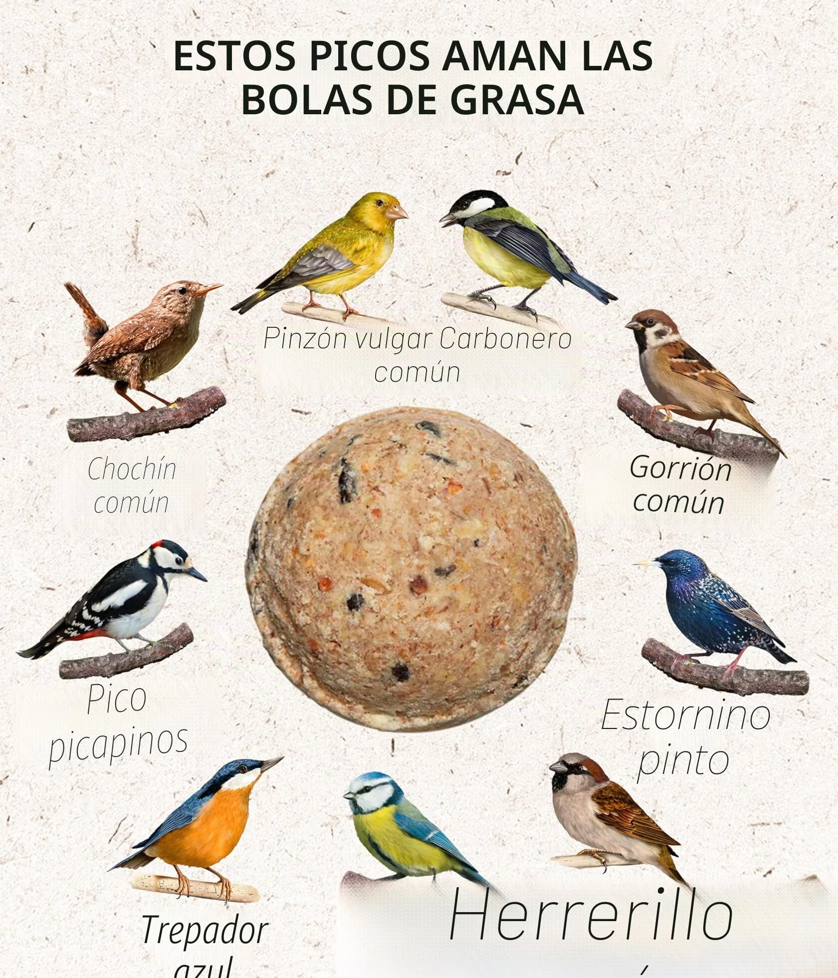 Dehner Natura Premium Bola de Masa sin Red, alimento para Aves Silvestres Durante Todo el año, Rico en proteínas y energético, alimento para Aves Silvestres, 30 Unidades de 90 g (2,7 kg), cartón de