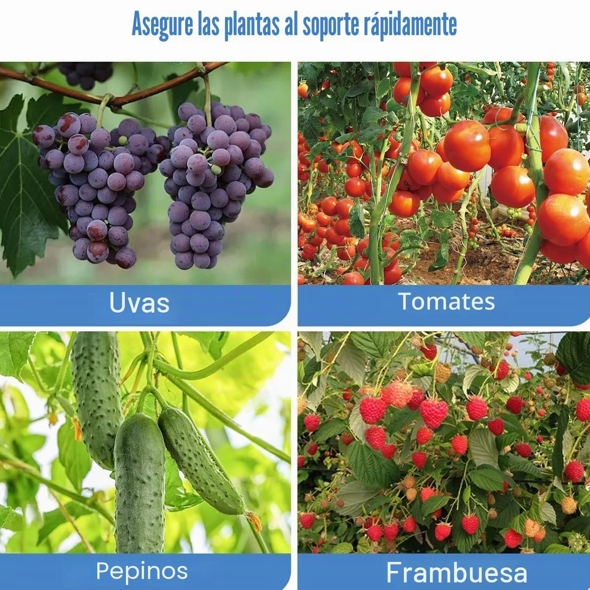 Maquina Atadora de Tomates, Herramienta de Cinta de Jardín para Viñedo Pepino UVA Fruta Flores Vegetales, Naranja