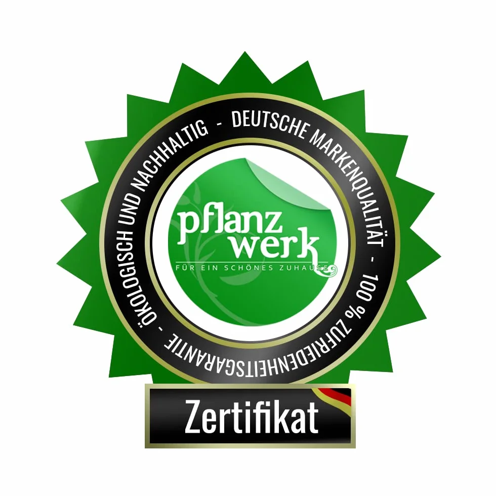Pflanzwerk® Jardinera Fibra de Vidrio Cup Ø34cm Antracita *Maceta a Prueba de heladas* *Protección UV* *Calidad Europeo*