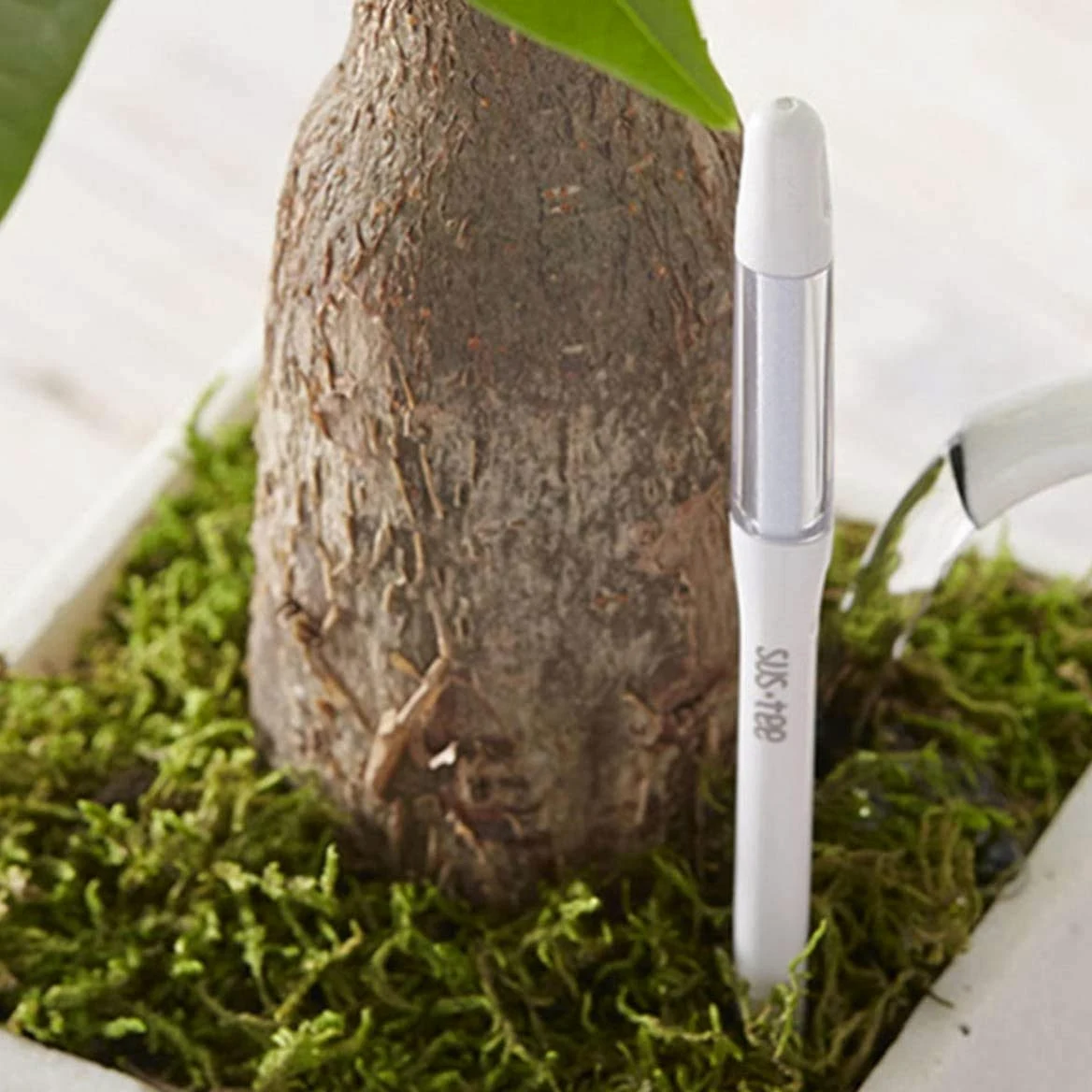 IPPINKA Sustee Aquameter, juego de 4, sensor de humedad del suelo para plantas, (blanco, mediano)