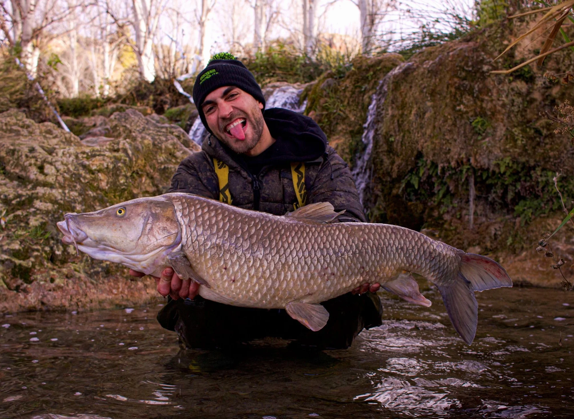 Pro Elite Baits Hook Baits Pellets Carp Food
