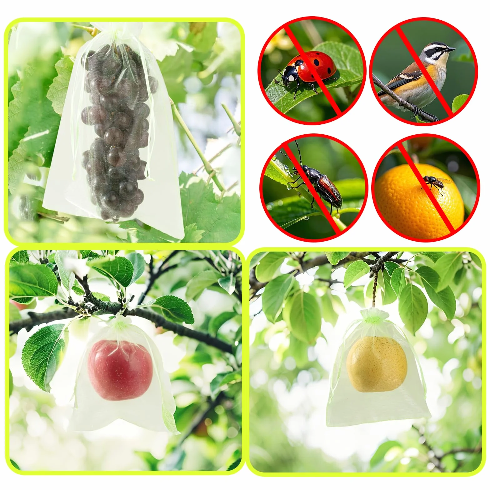 50 Bolsas Protectoras para Uvas con cordón de 15×20 cm, Bolsas de Fruta Reutilizables de Organza en Malla Verde, Red antipájaros para el huerto