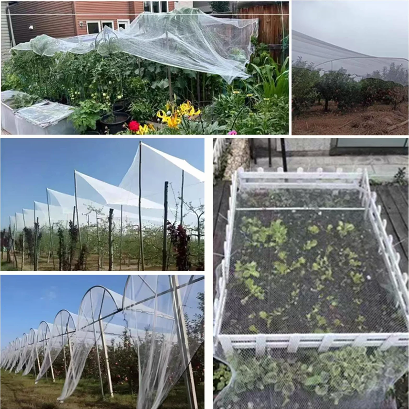 Malla Antipajaros,Malla Antigranizo,Malla Antigranizo para Plantas De JardíN,Red ProteccióN Insectos Huerto Adecuado,Recortable,Fuerte,FáCil De Instalar,para Huertos Y Jardines