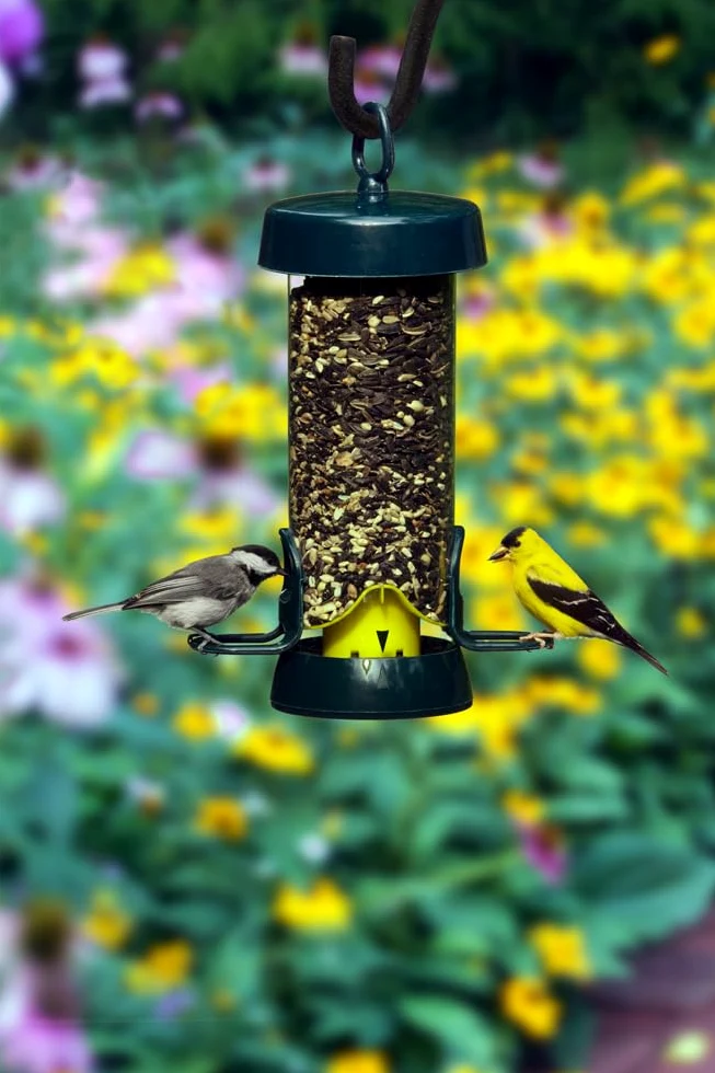 Tube Solution - Comedero para pájaros Silvestres con Capacidad de 100 0.7 Libras con 2 Puertos de Semillas