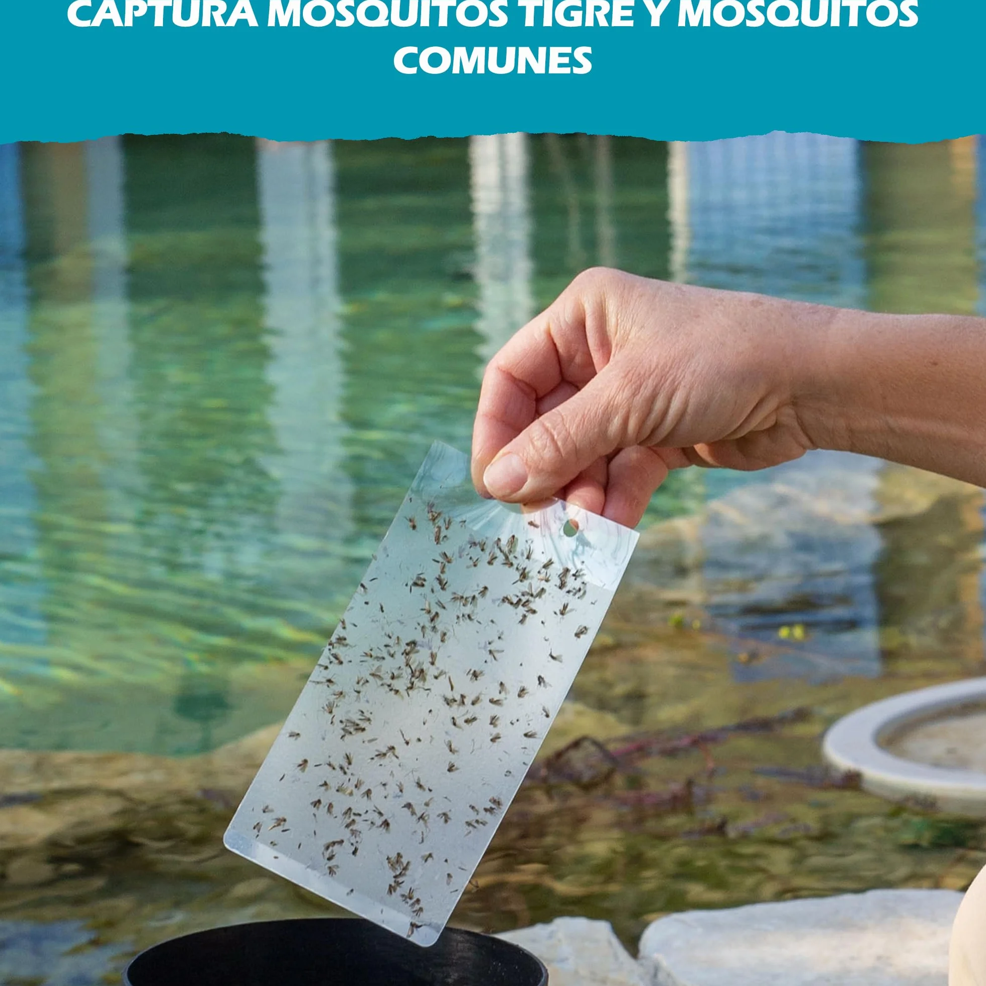 Mostiky: 30 Tarjetas Adhesivas compatibles con Biogents BG-GAT. Paquete de 30 Tarjetas Adhesivas para capturar Mosquitos Tigre Antes de Que pongan Sus Huevos.