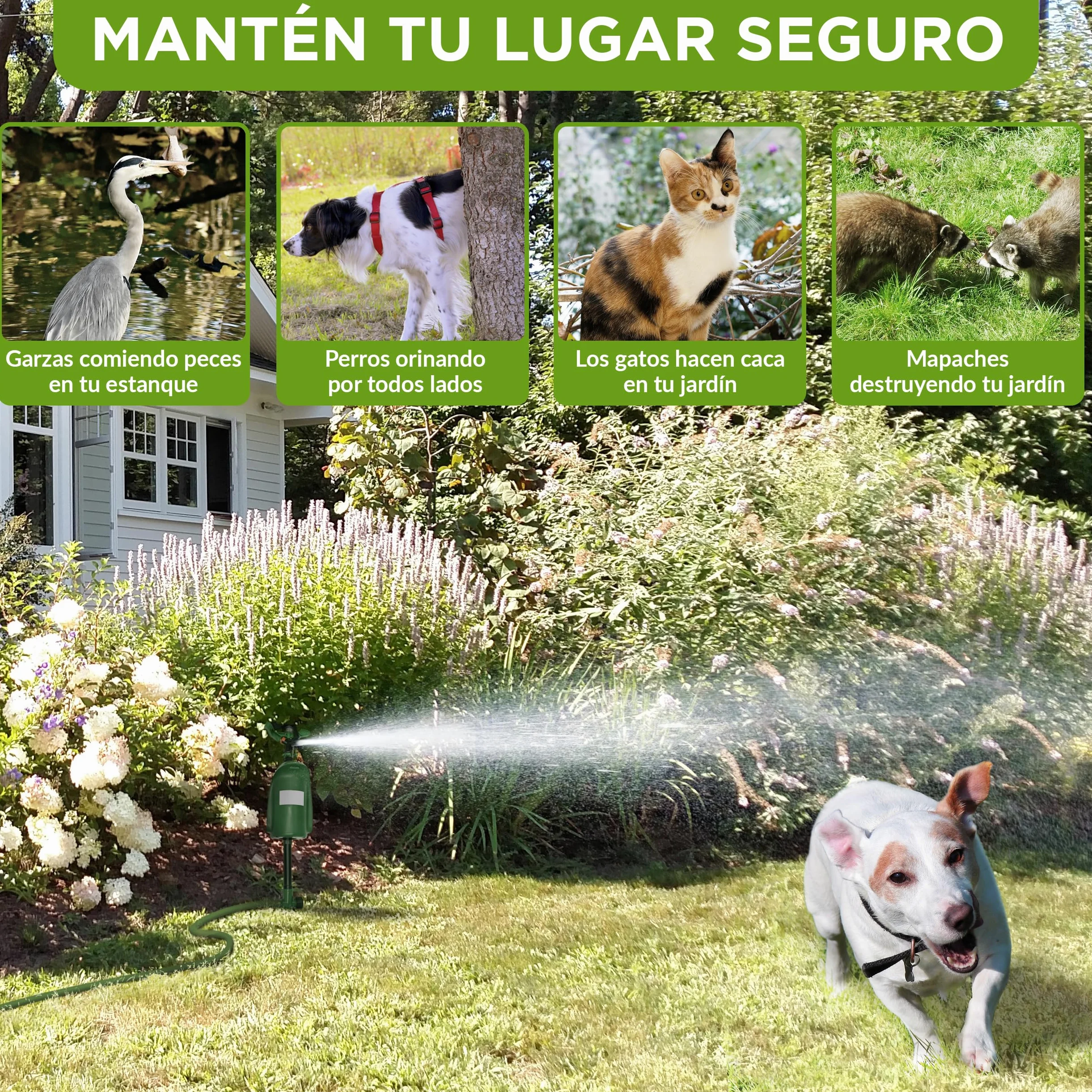 ISOTRONIC Repelente de Animales con Chorro de Agua — Ahuyentador de Gatos y Garzas con Detector de Movimiento 120° — Radio Ajustable para Jardín y Estanque — Defensa Eficaz (2 Unidades)