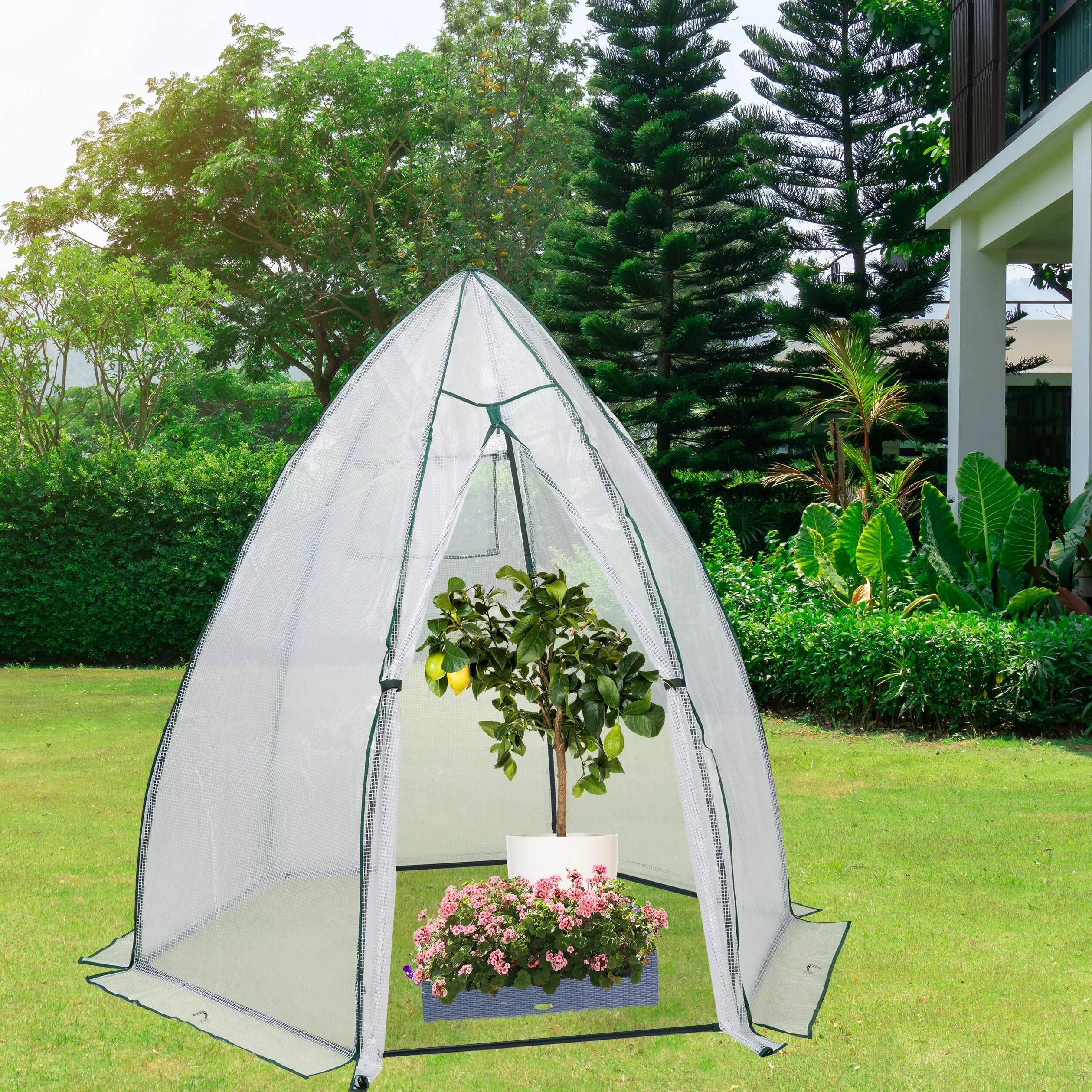 Relaxdays Invernadero, de Plástico, 185 x 180 x 160 cm, Protección Plantas en Invierno, Puerta y Ventana, Transparente