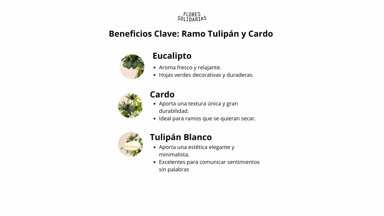 FLORES SOLIDARIAS - Ramo De Tulipanes Naturales - Ramo De Flores - Tulipanes con Cardo - Ramos De Flores Naturales A Domicilio - Regalos San Valentin - Envio 24H