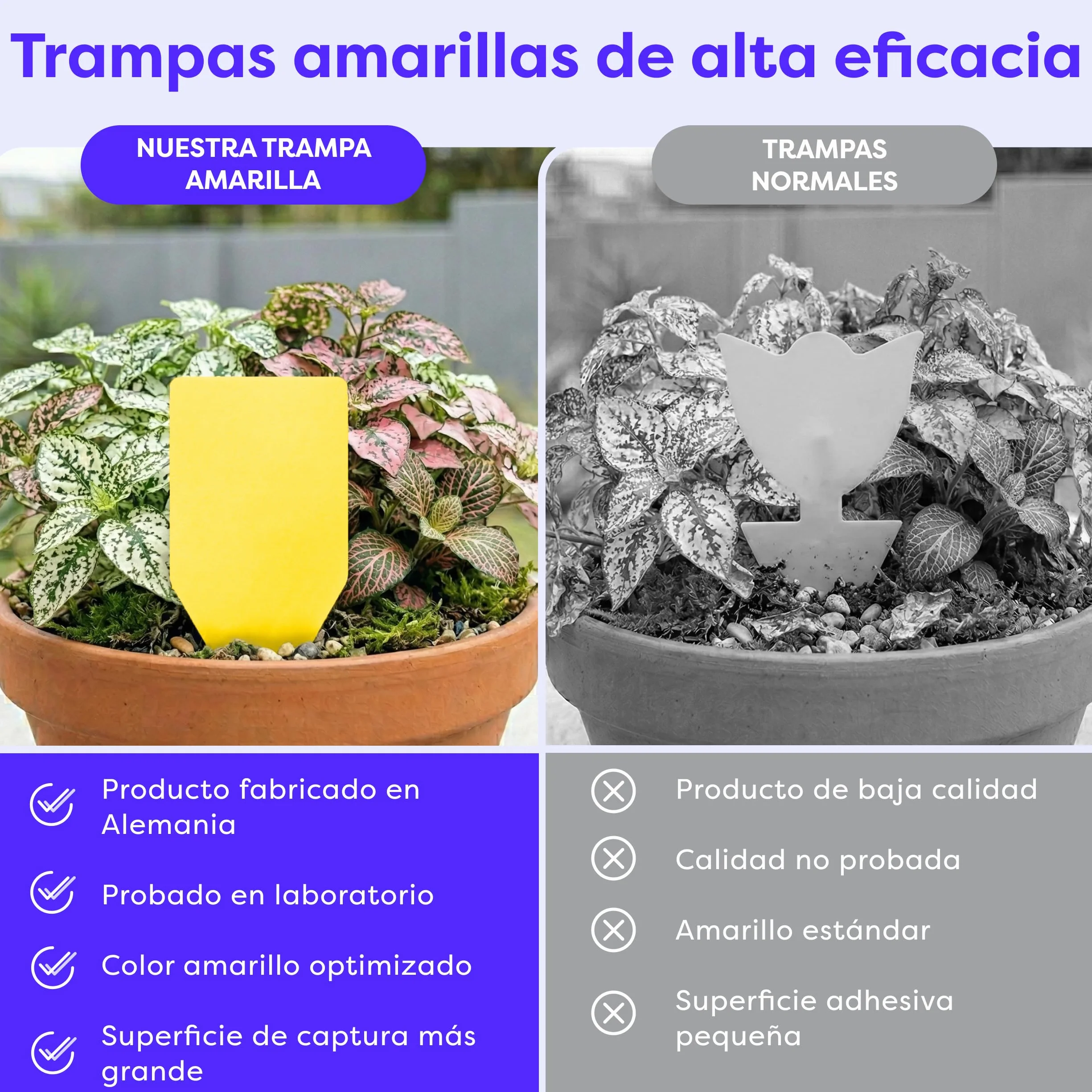 Wolkenfeld Trampa Moscas Plantas 60 Piezas Pegatinas – Trampas Amarillas para Insectos, Atrapa Mosquitos Adhesivo Doble Cara, Sin Insecticida – Interior, Macetas y Invernadero – Made in Germany