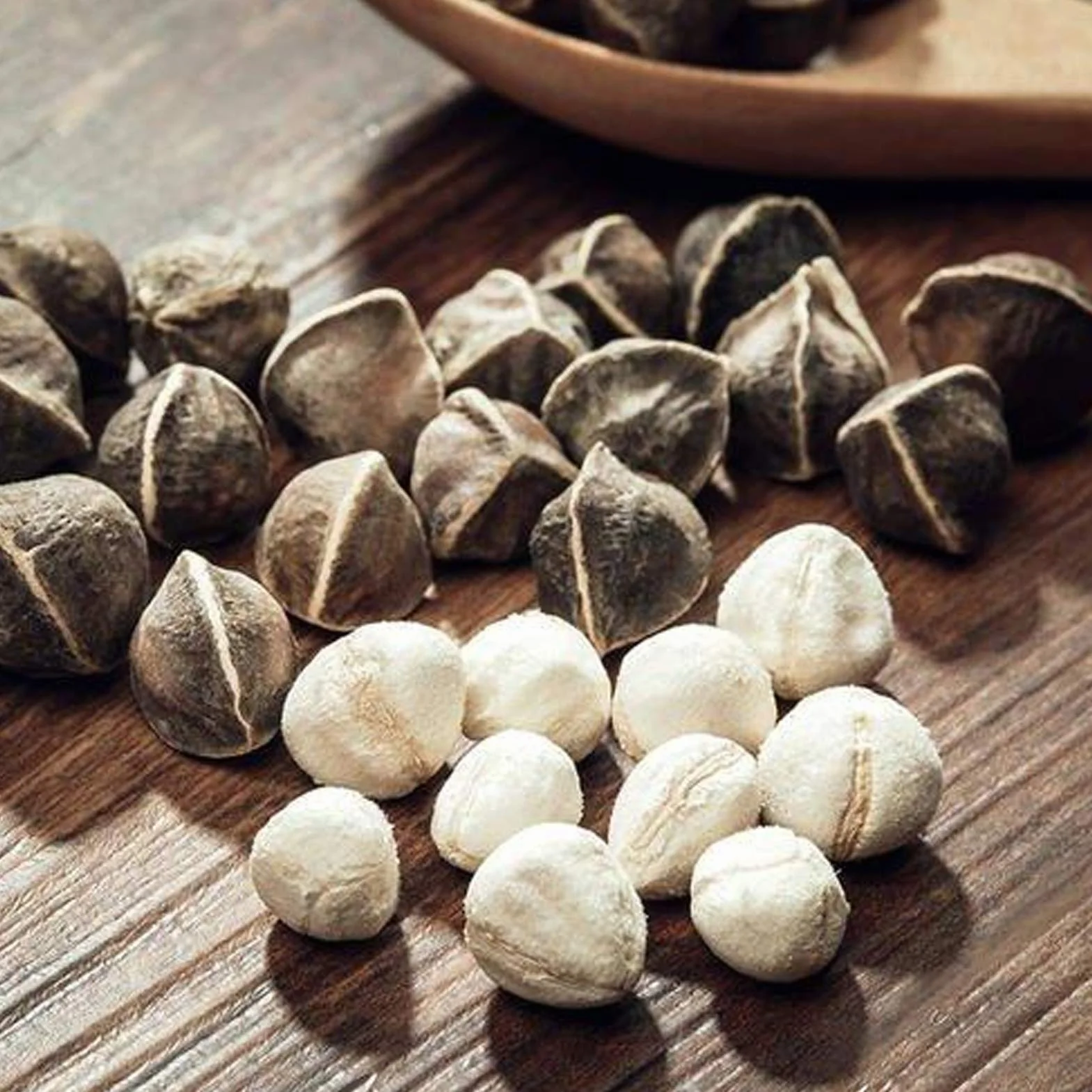 Benoon Semillas De Moringa, 50 Piezas/Bolsa Semillas De Moringa Fragancia Intensa De Moringa Sin OGM Semillas De Moringa De Jardín Saludable Para Jardín Semilla
